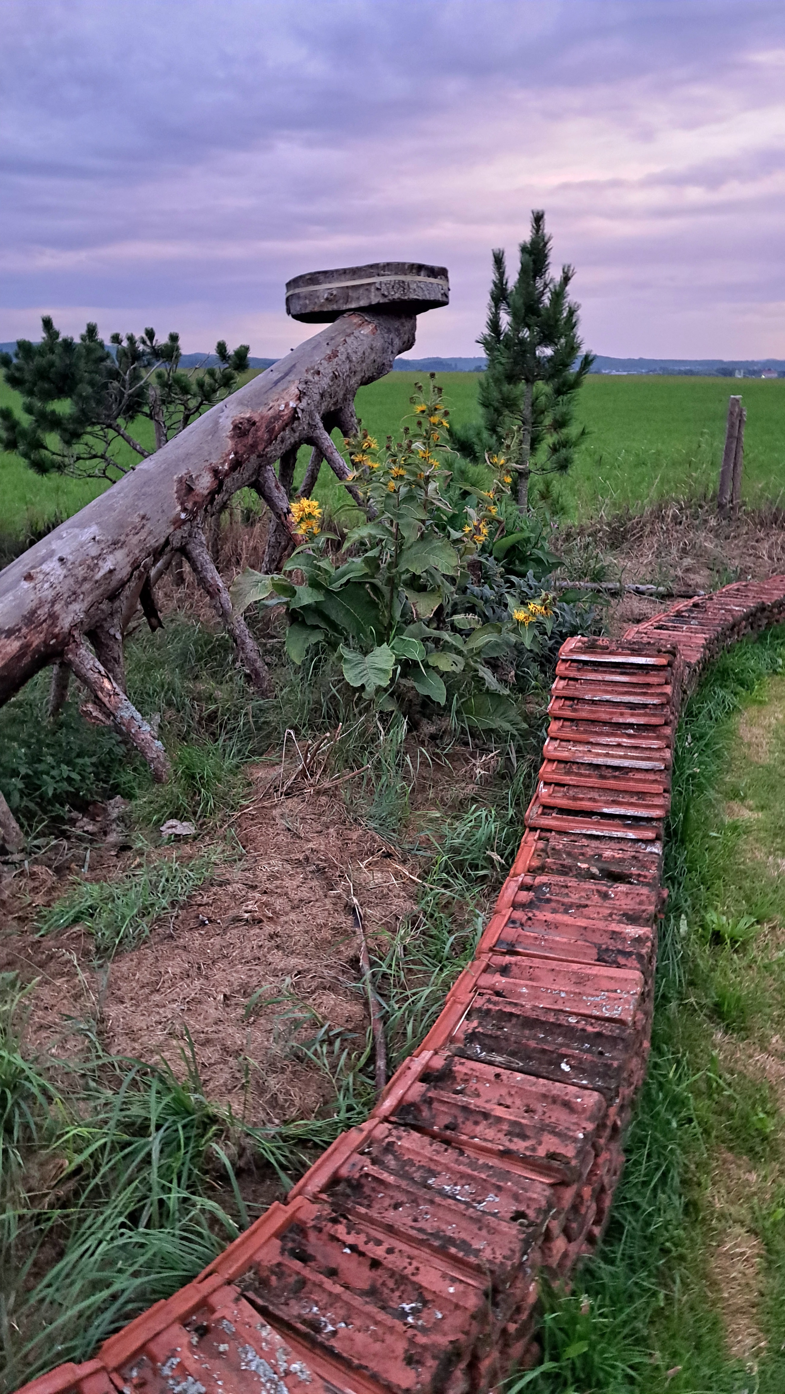 Bild von Petra für den Spot 1567