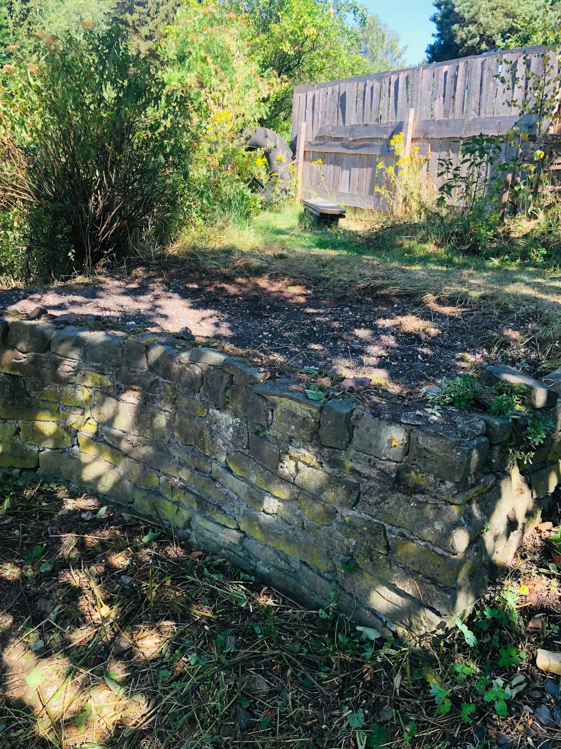 Träumen unter den Sternen