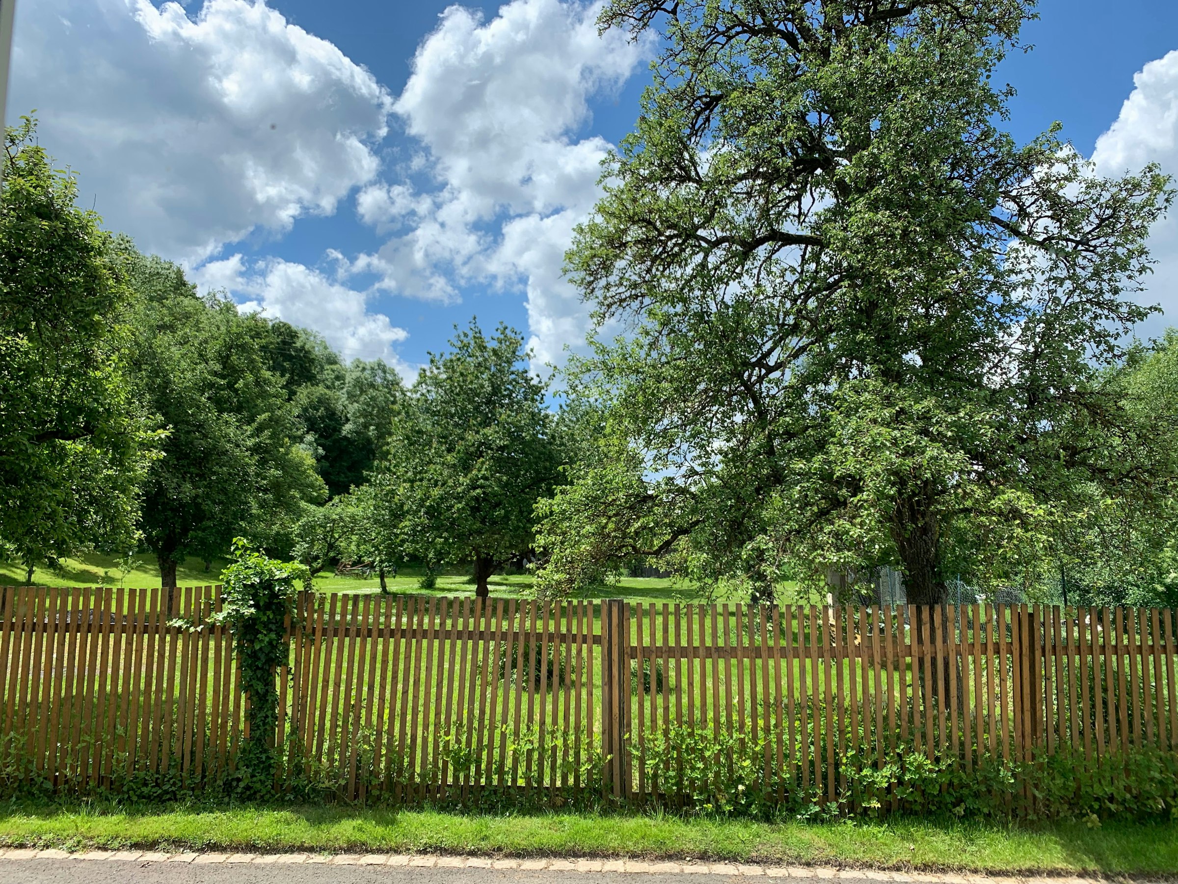 Natur pur, abschalten garantiert 🤩