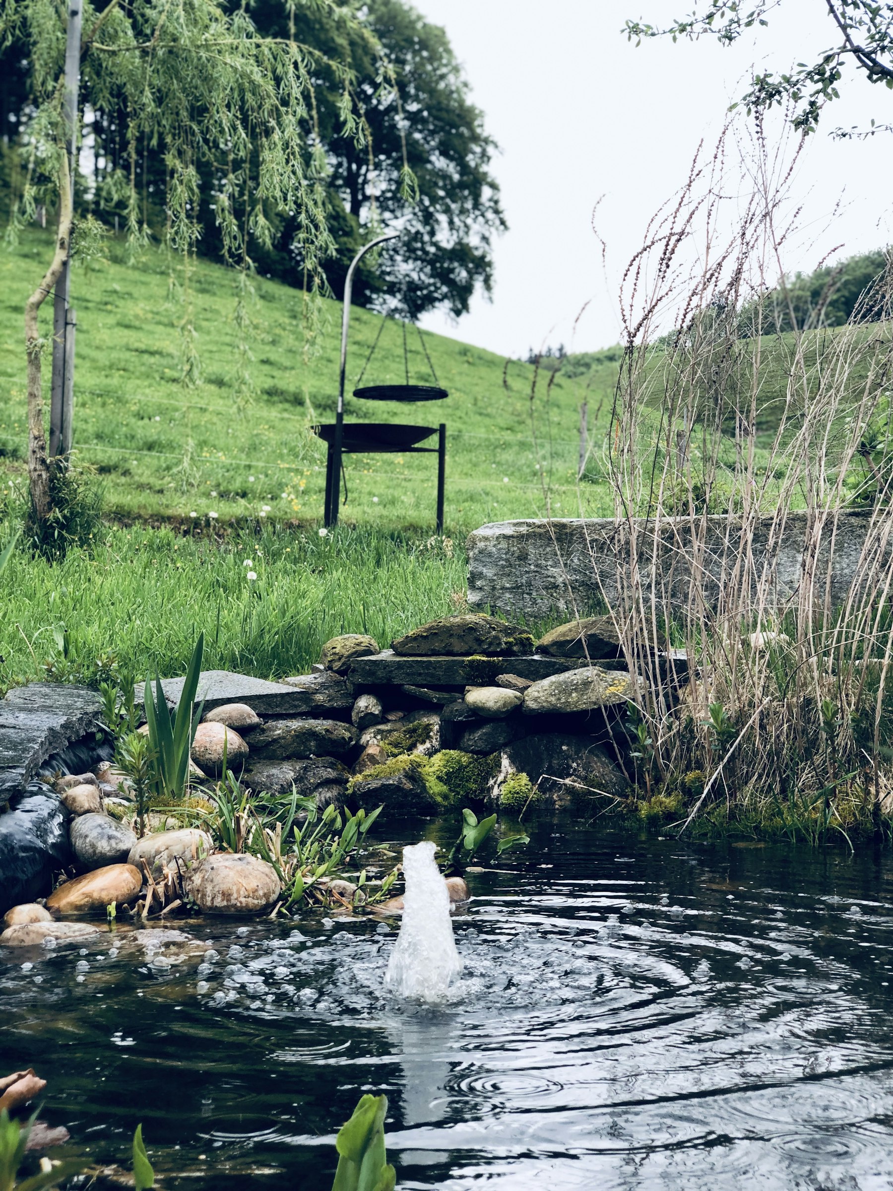 Der kleine Teich beherbergt seltene Glögglifrösche (Geburtshelferkröte). Freue dich auf ein kleines Konzert am Abend.