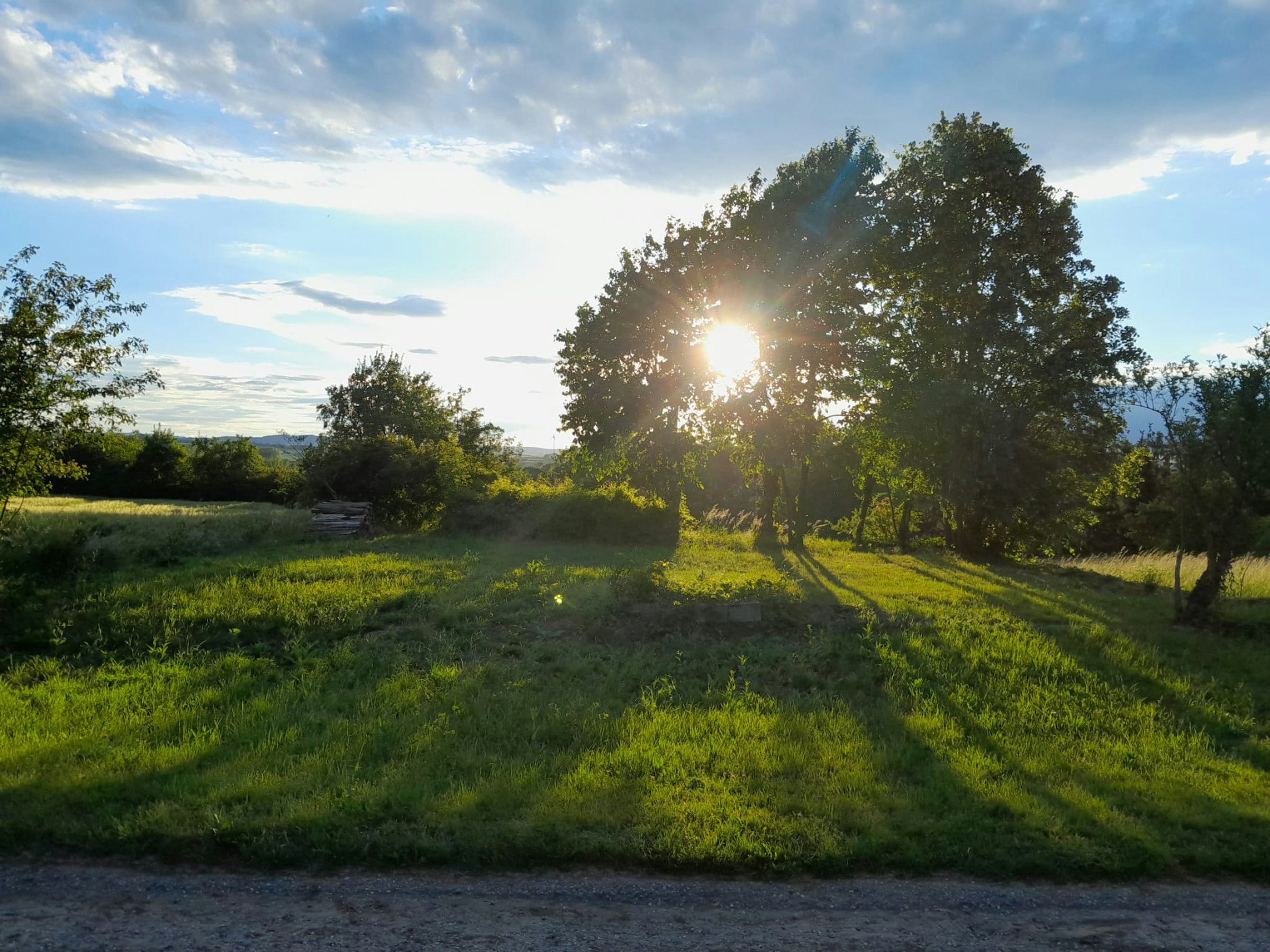 Idyllische Wiese & Traisentalblick