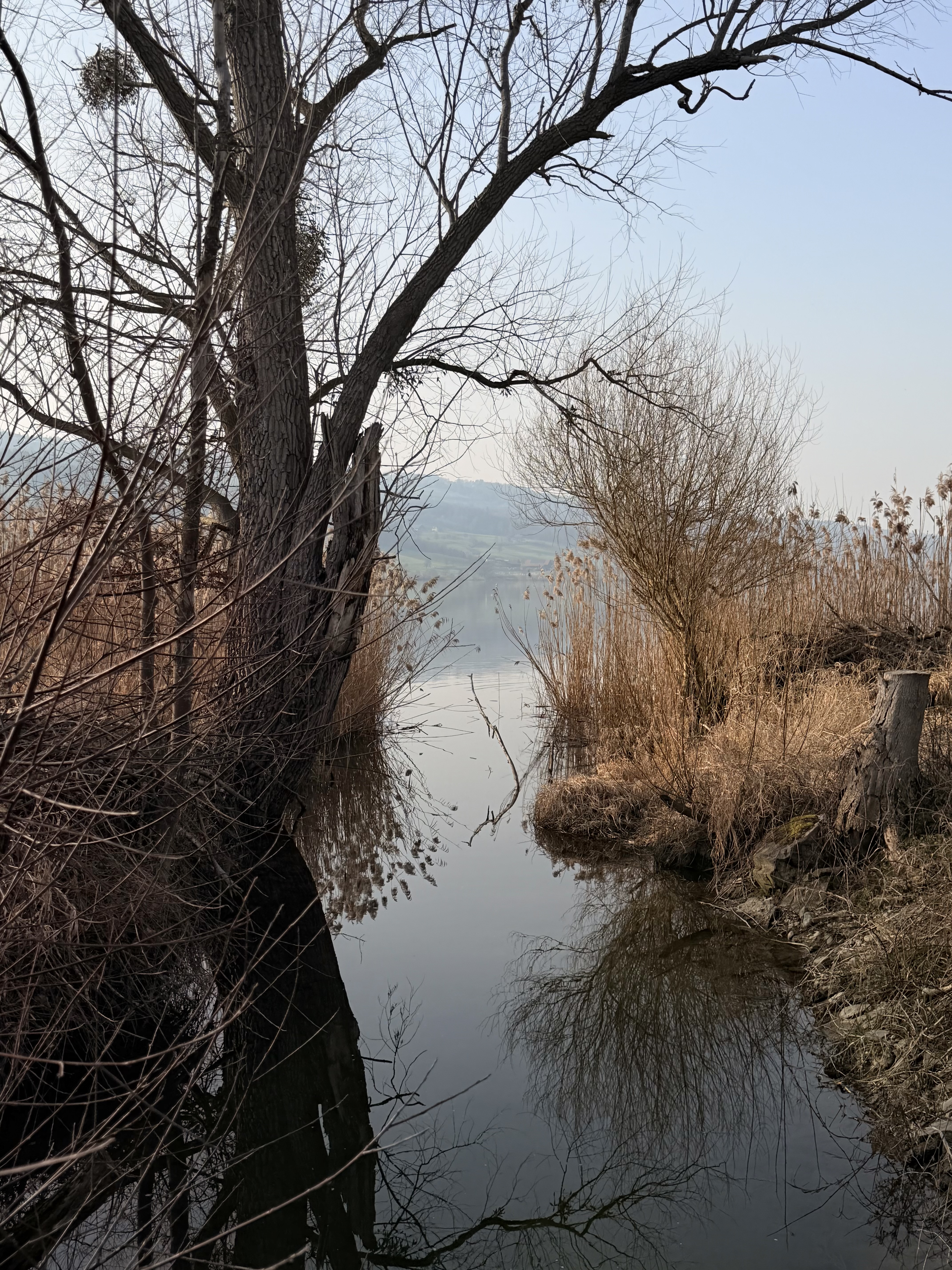 Bild von Sandra für den Spot 249