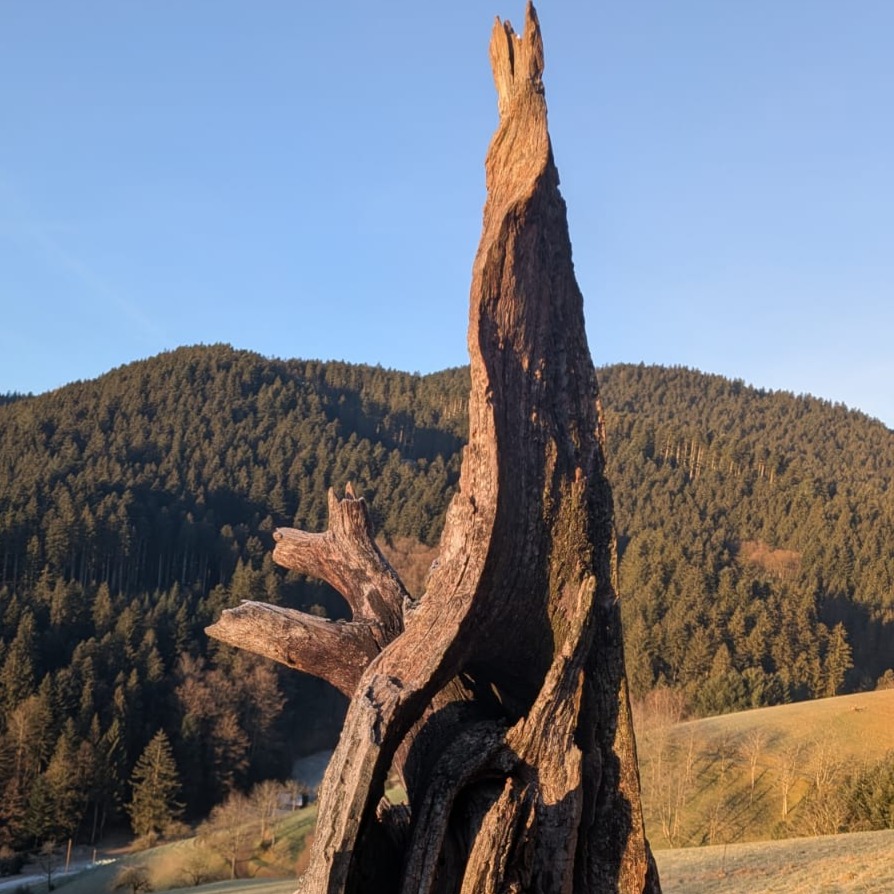 Profilbild von Joachim