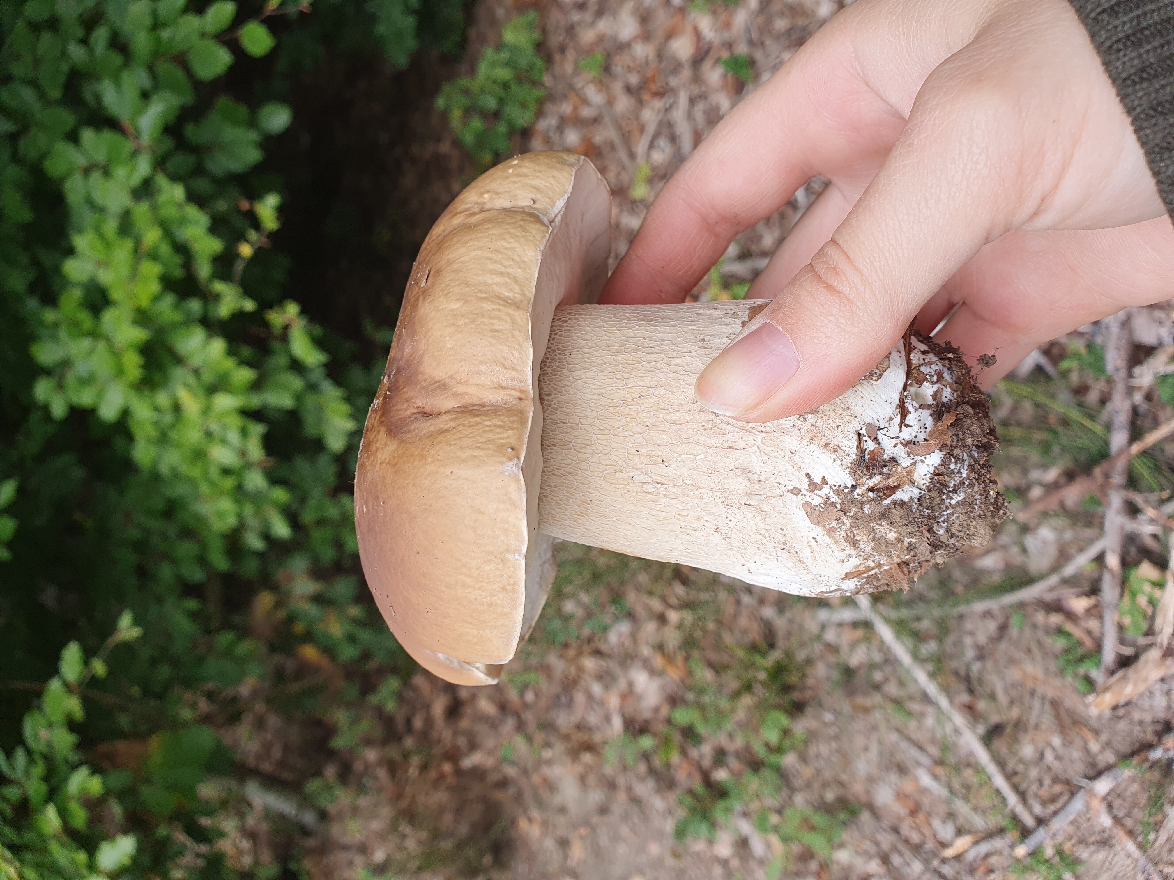 Bild von Max für den Spot 1436