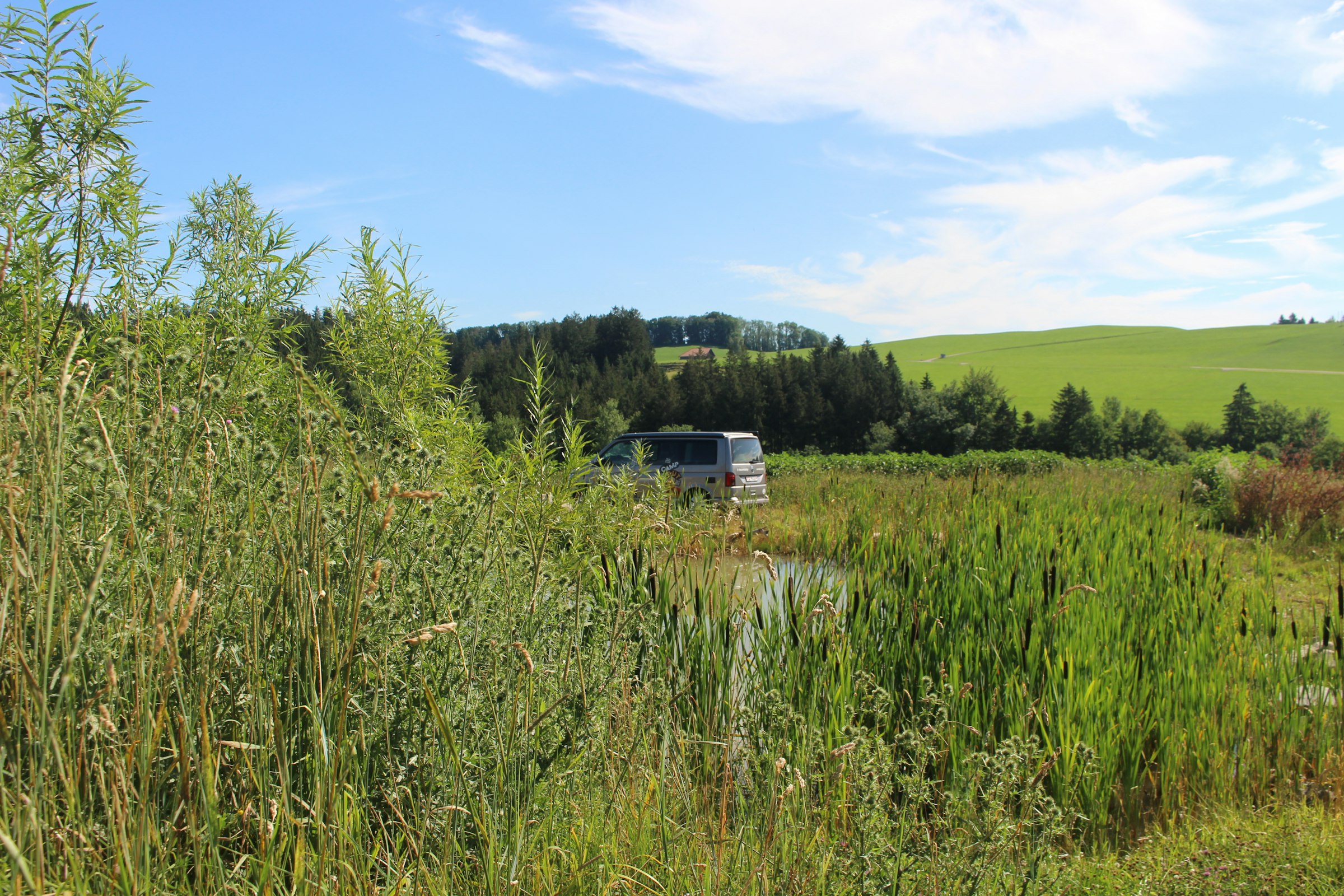 Natur-Camp am Badeteich