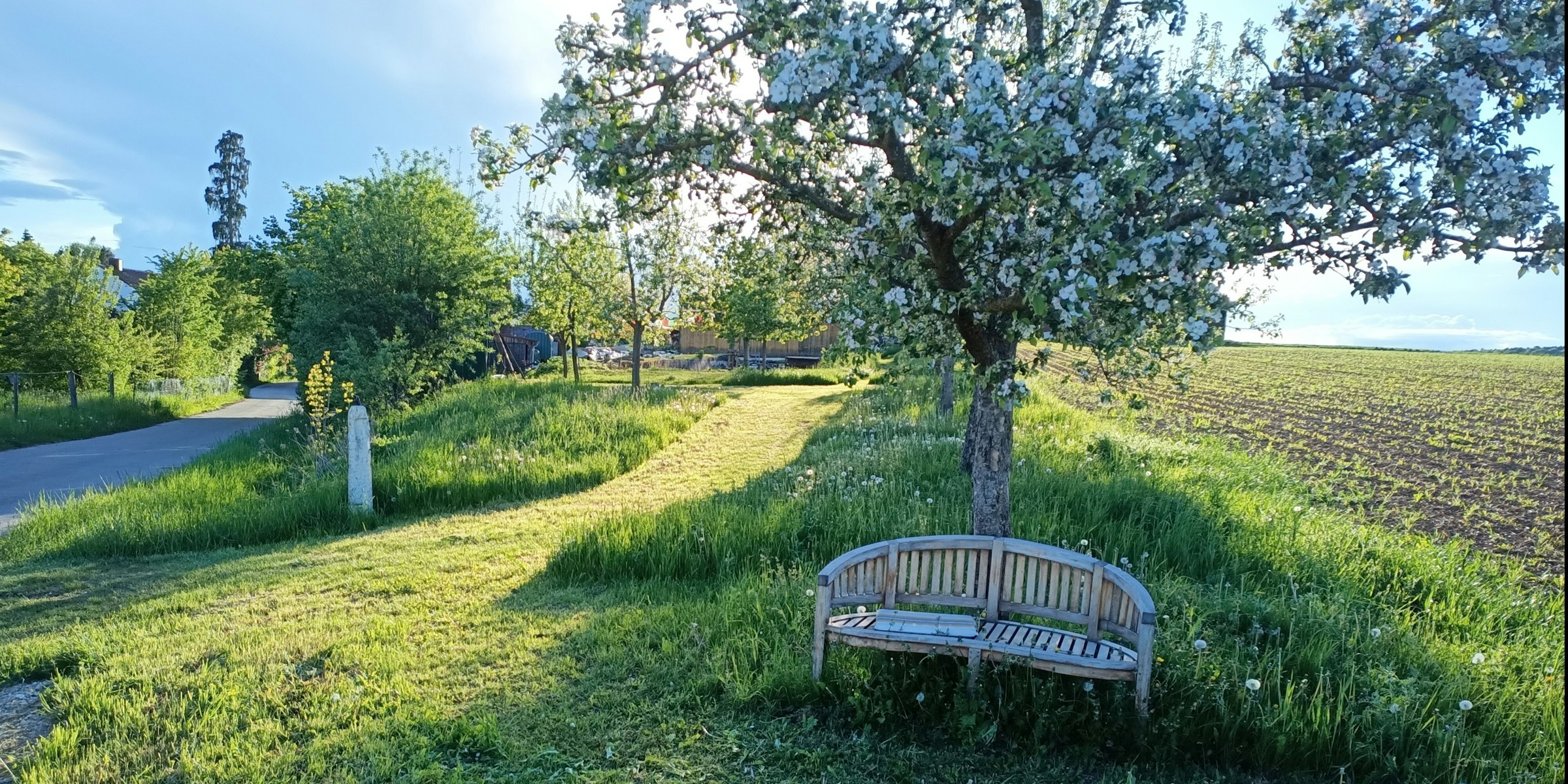 Trekkingcamp-Altmühlhonig