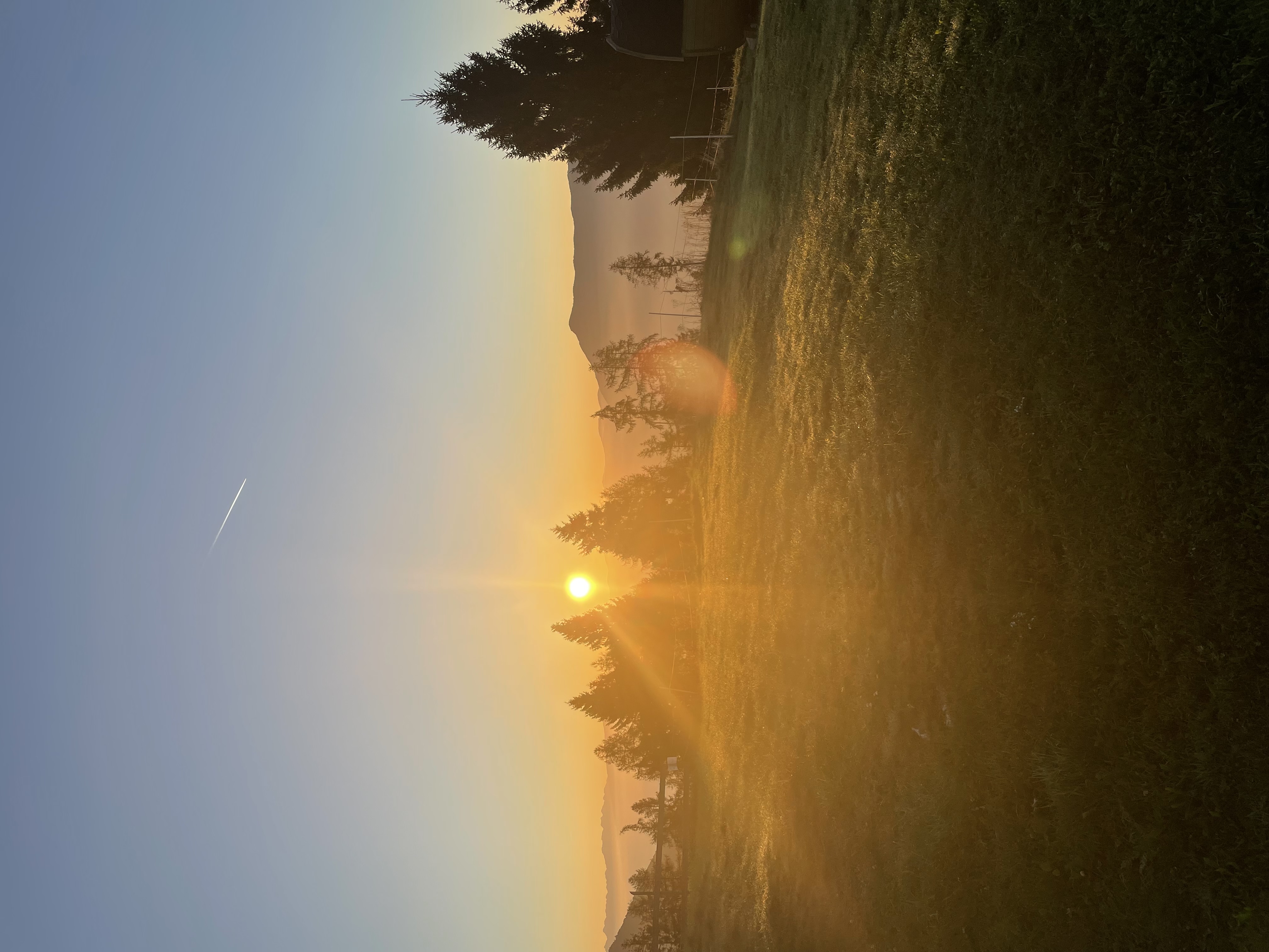 Bild von Katja für den Spot 978