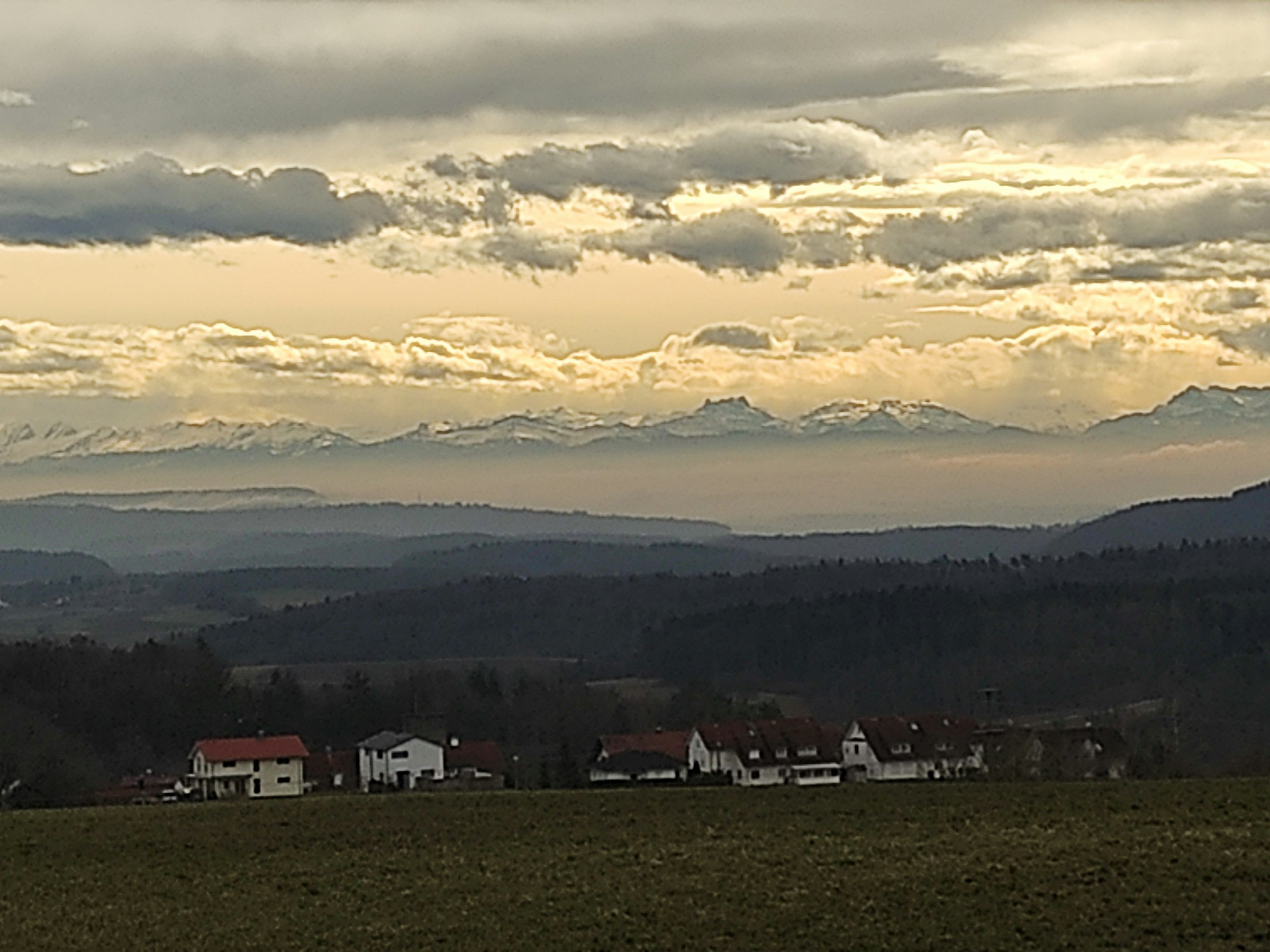 Wiese mit Fernblick in die Alpen
