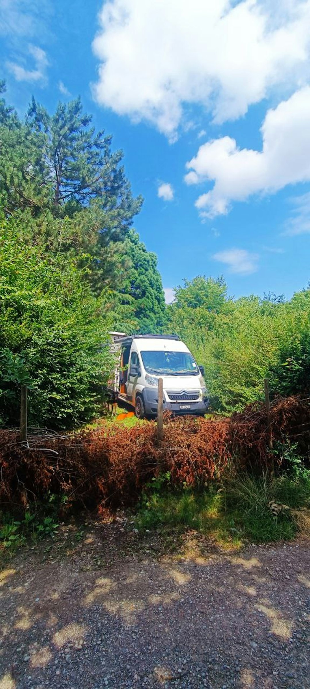 Platz im Grünen bei Freiburg