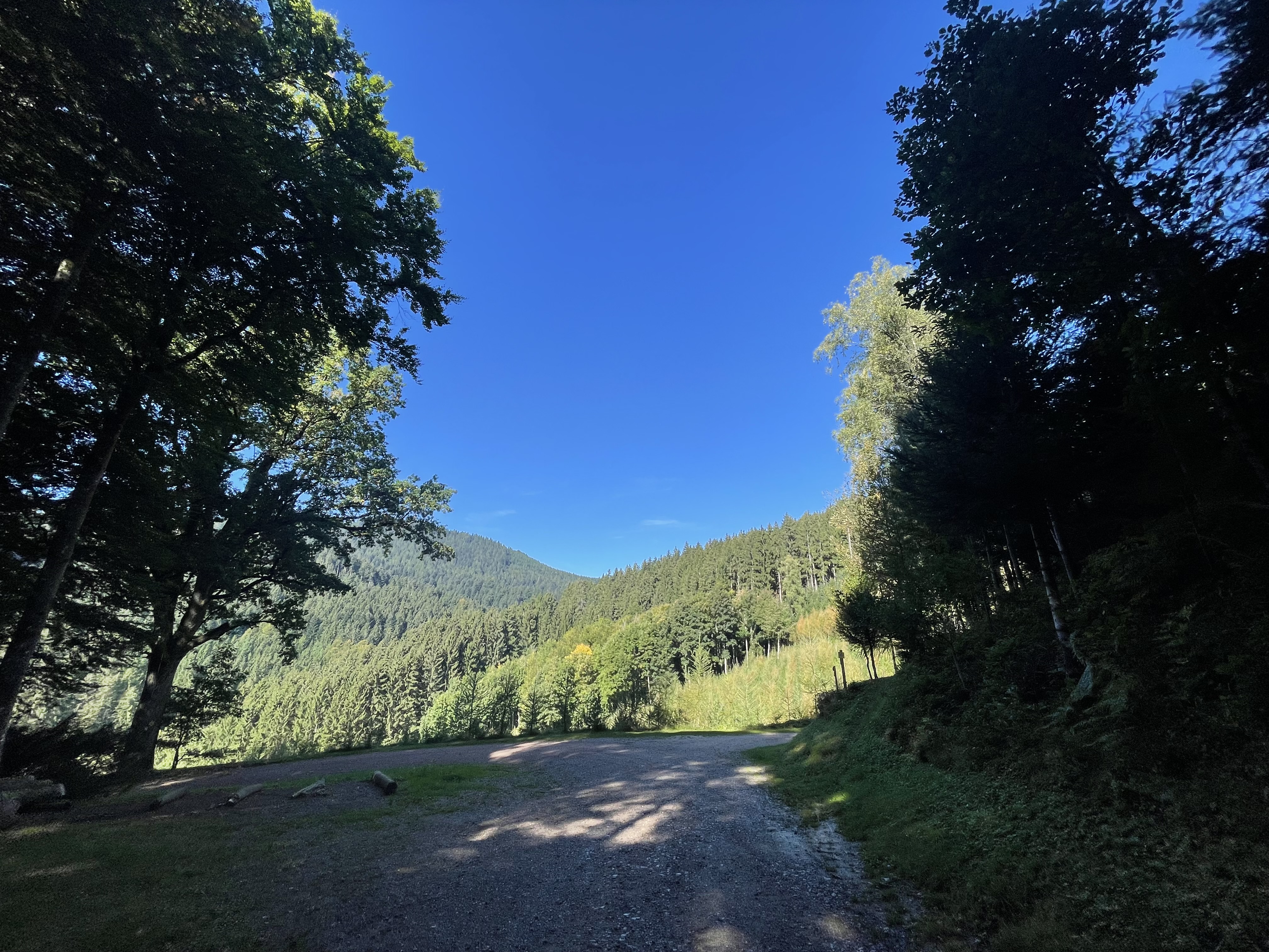 Bild von Sascha für den Spot 1557