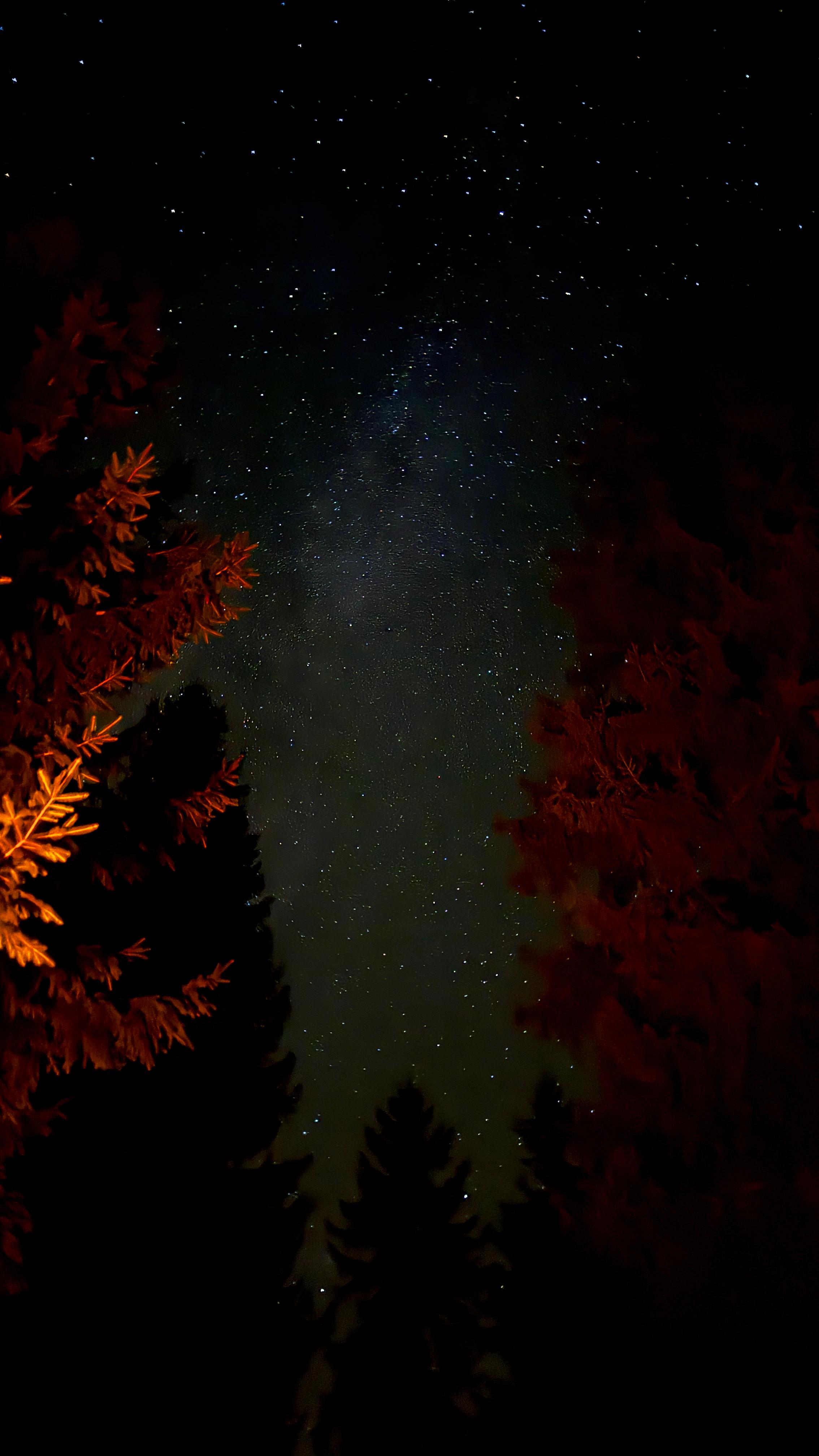 Bild von Peter für den Spot 216