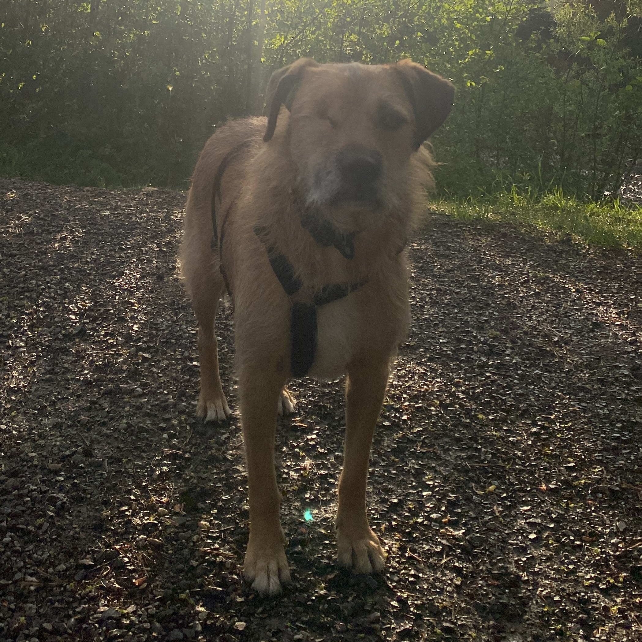 Profilbild von Jennifer