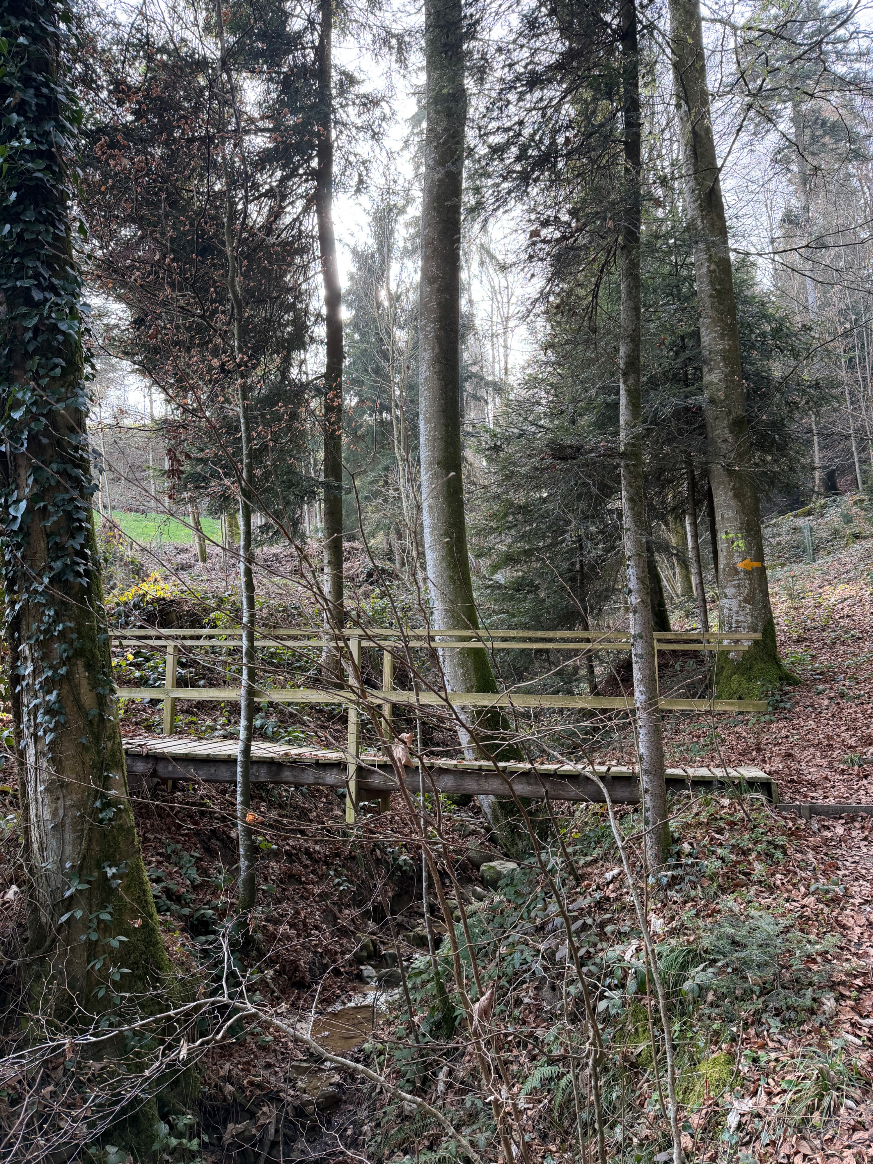 Bild von mirko für den Spot 1186