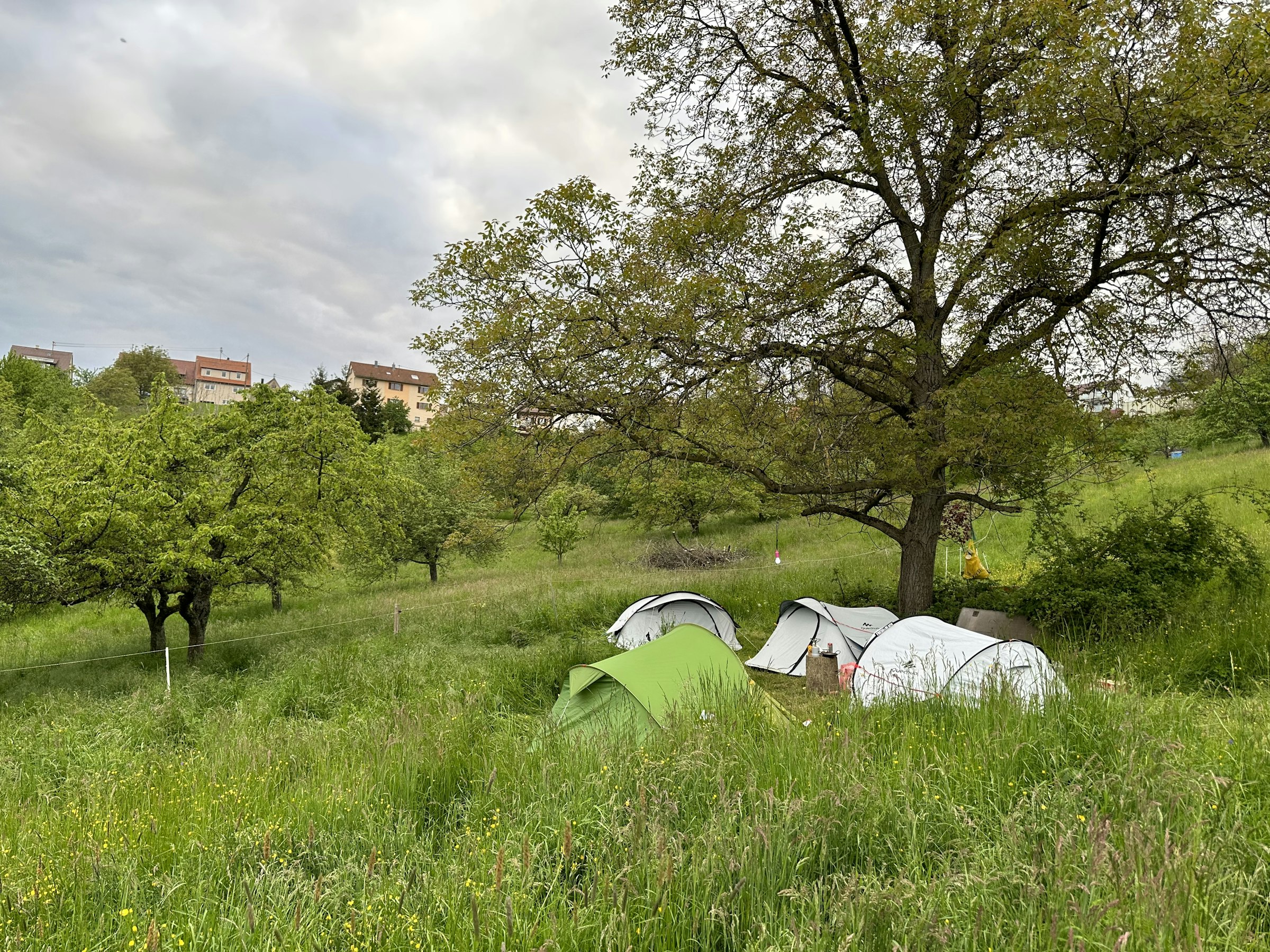 größere Gruppe mit mehreren Zelten