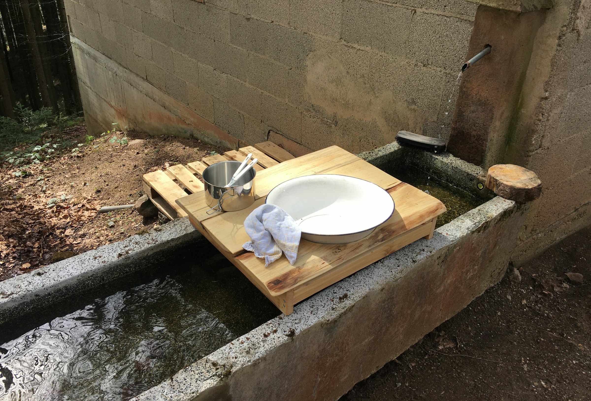 Bühl - Beim Naturdenkmal 🌳Eiche🌳