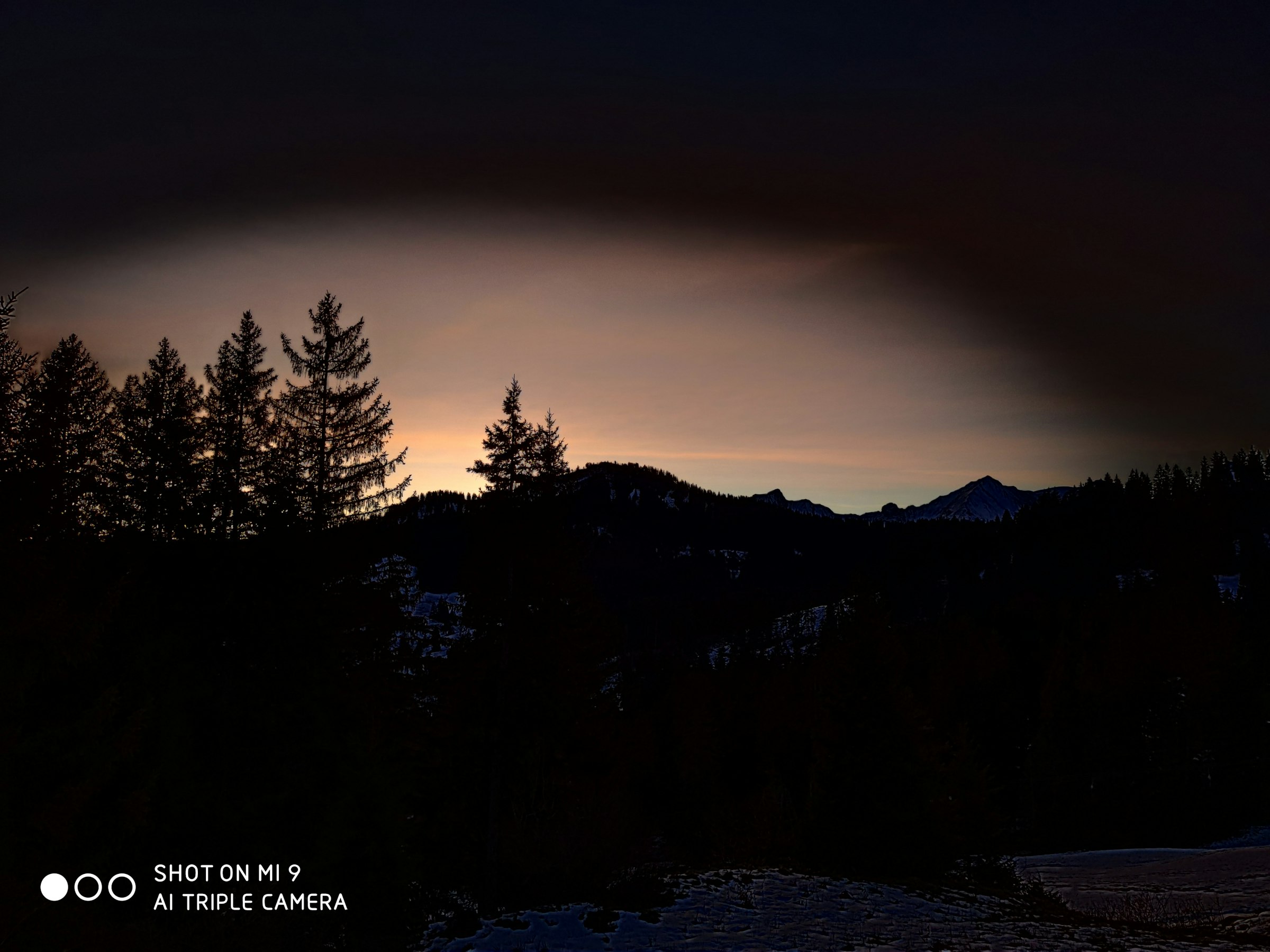 Profilbild von Thomas