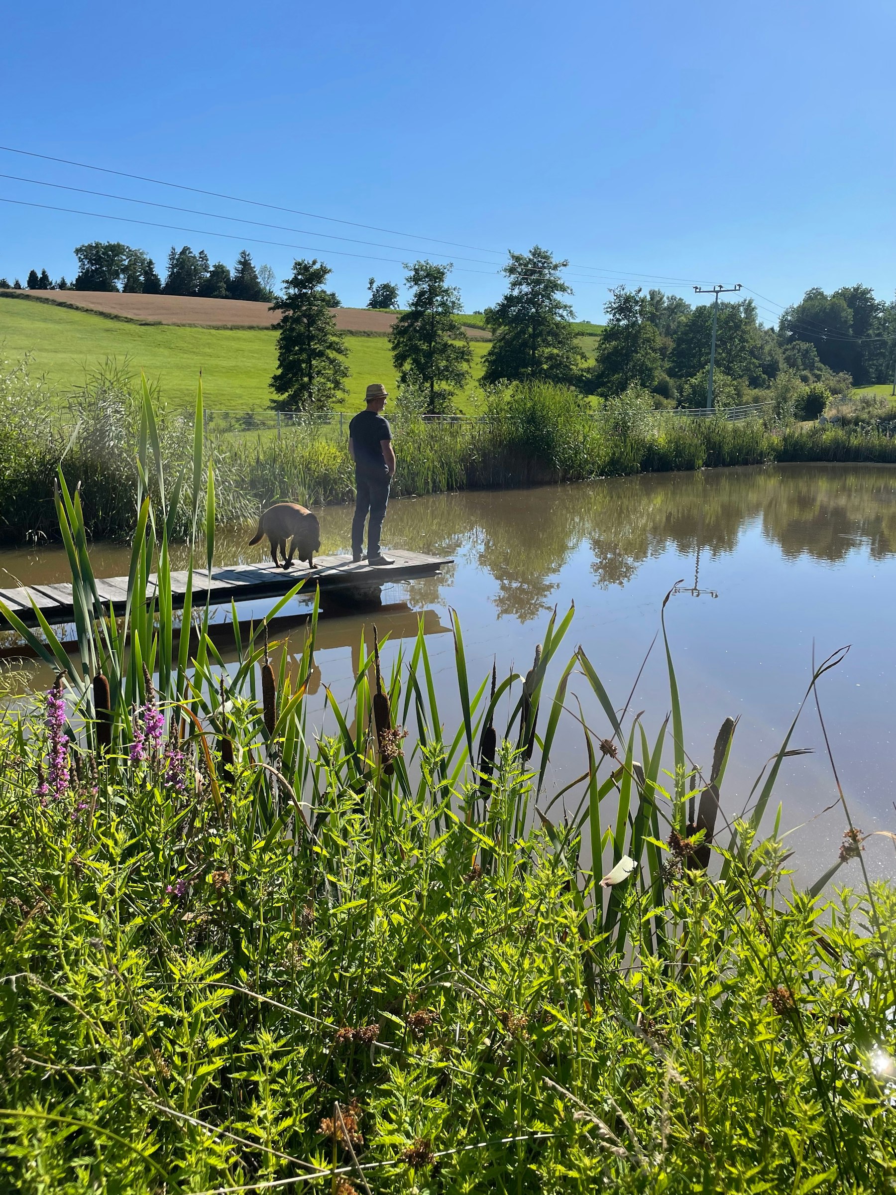 Wilde Heimat 2, Campen am Tinyhaus