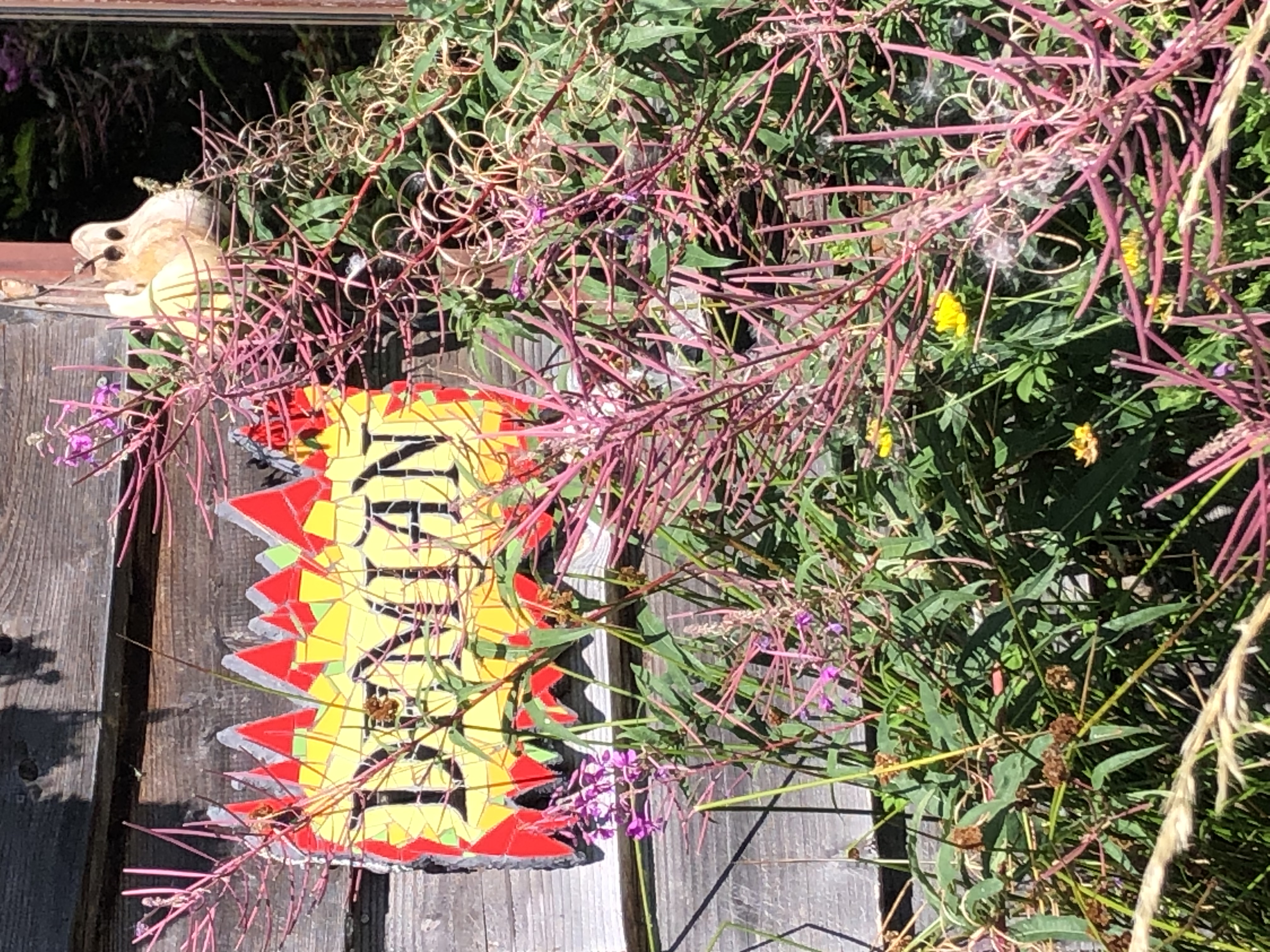 Bild von Anni für den Spot 1306