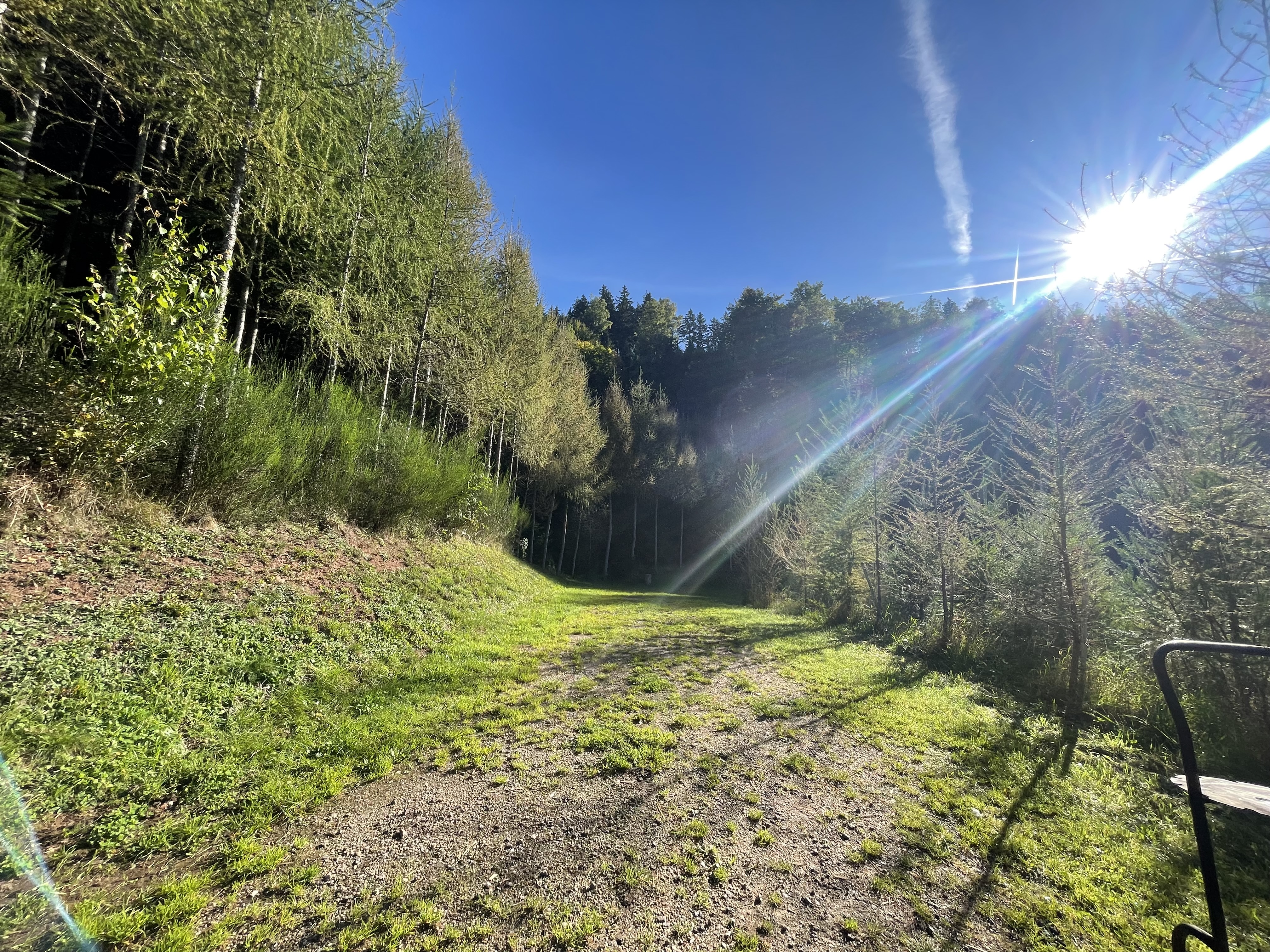 Bild von Sascha für den Spot 1557