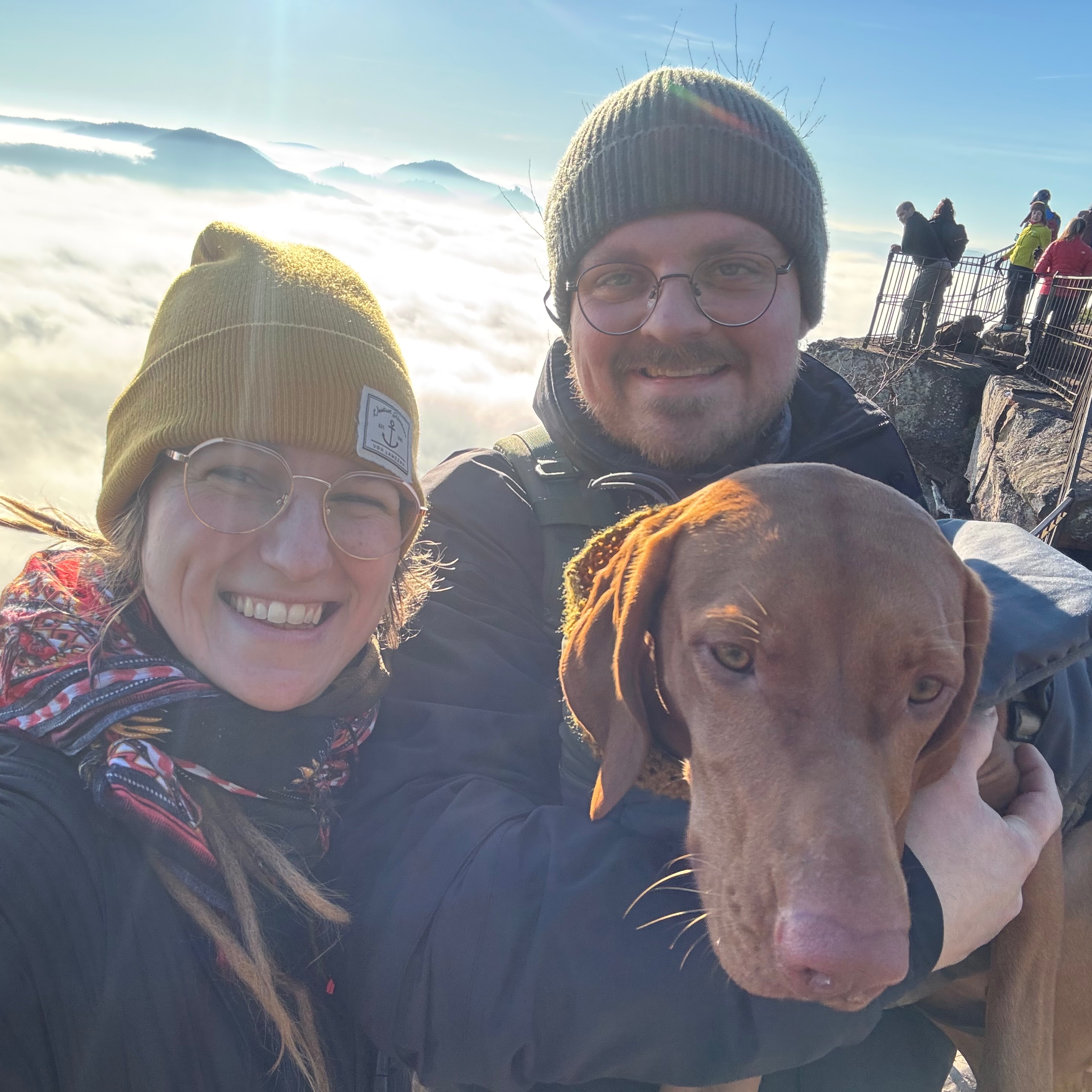 Profilbild von Jacks