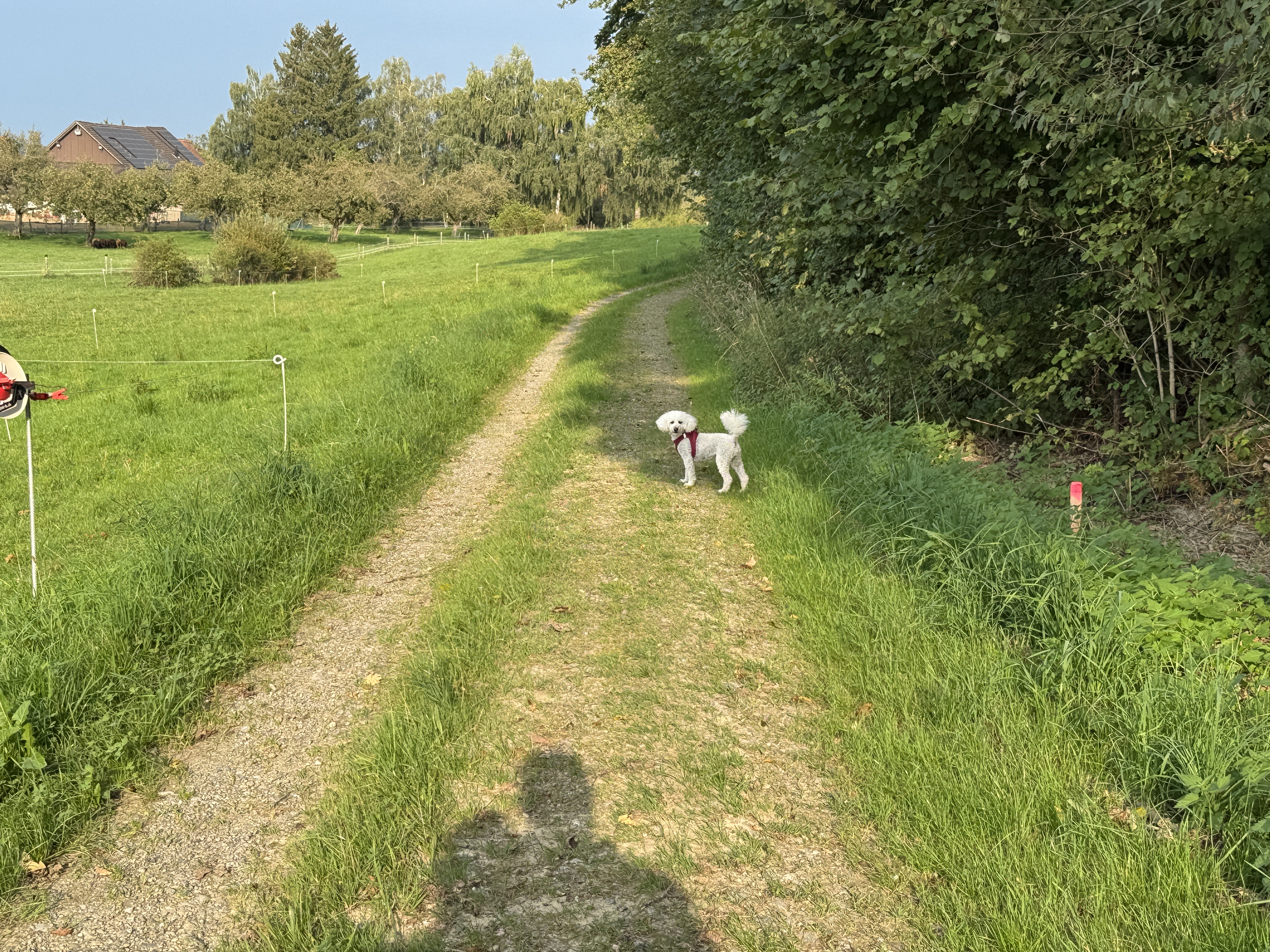 Bild von Evelyn für den Spot 77