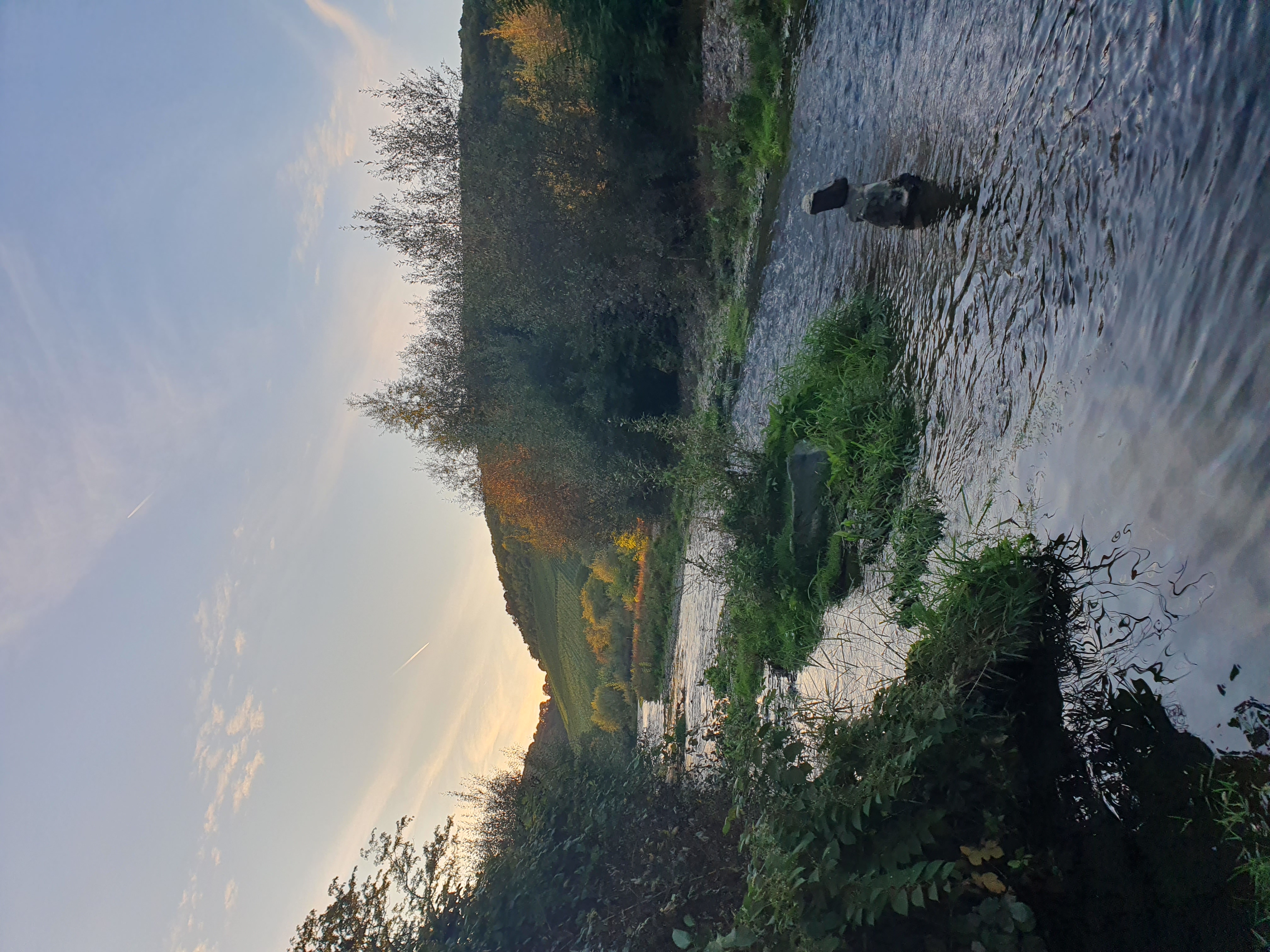 Bild von Max für den Spot 1436