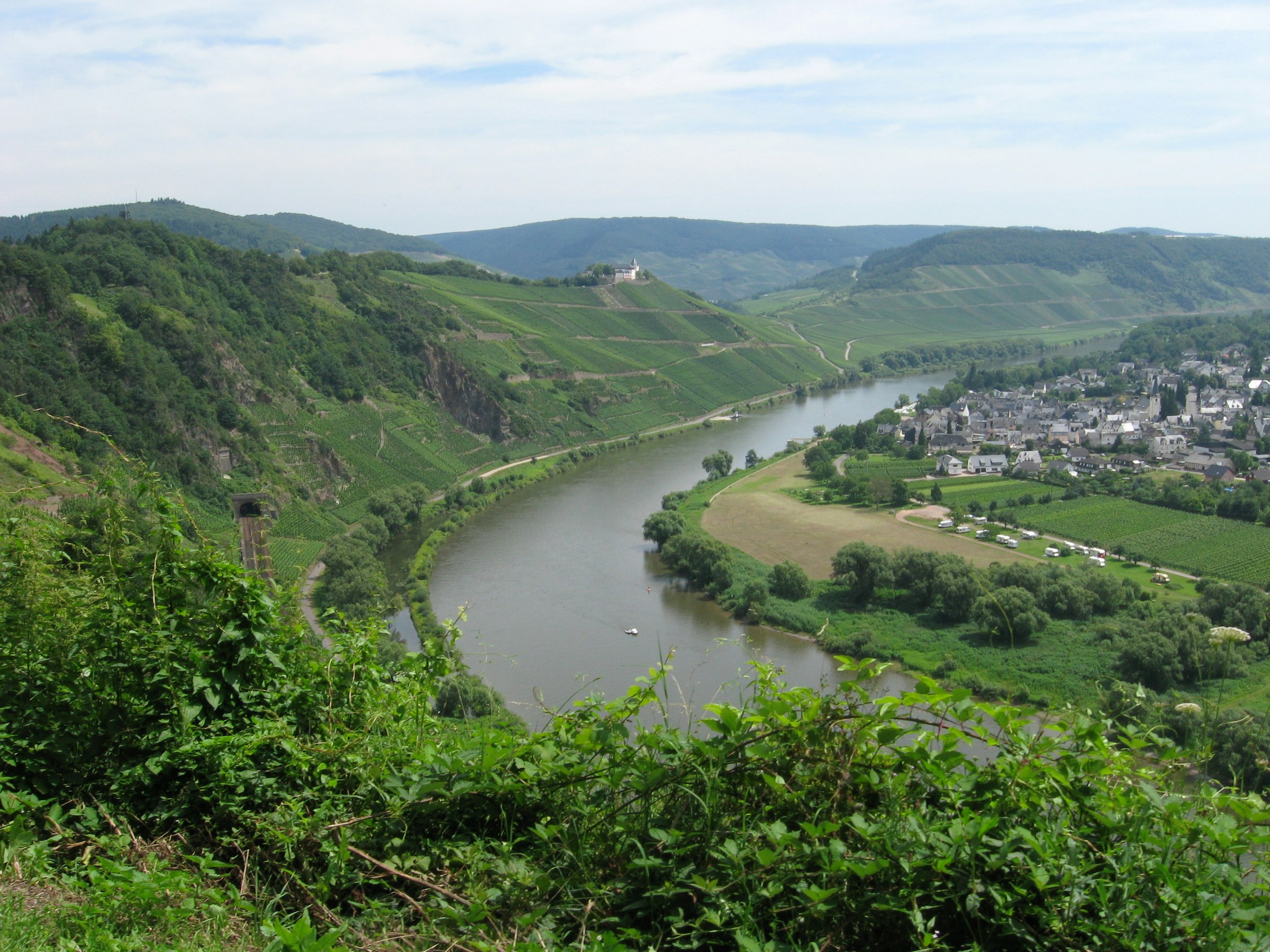 Ruhiger Stellplatz am Weingut