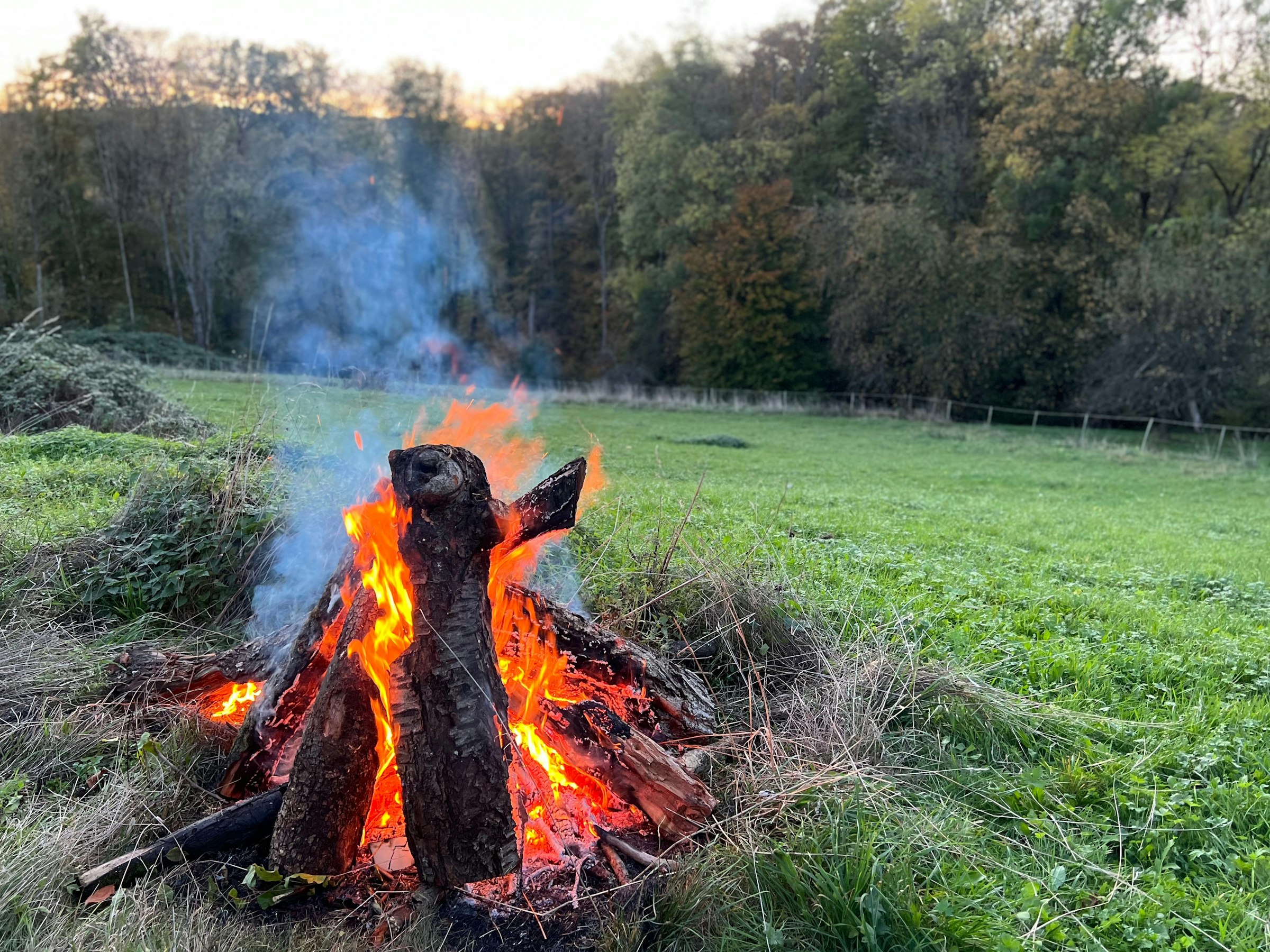 Abgelegene Senke am Walnussbaum