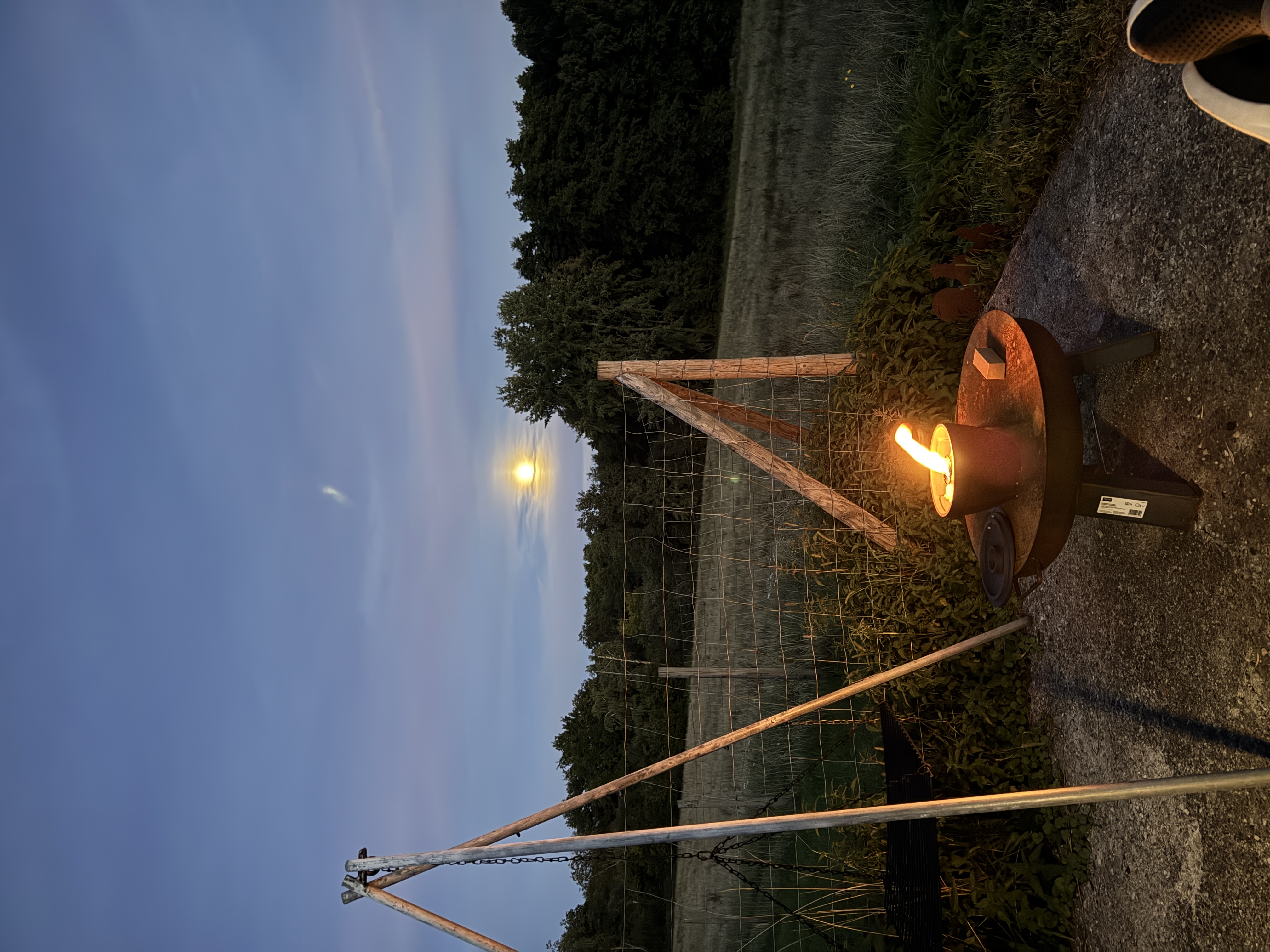 Bild von Felix für den Spot 3697