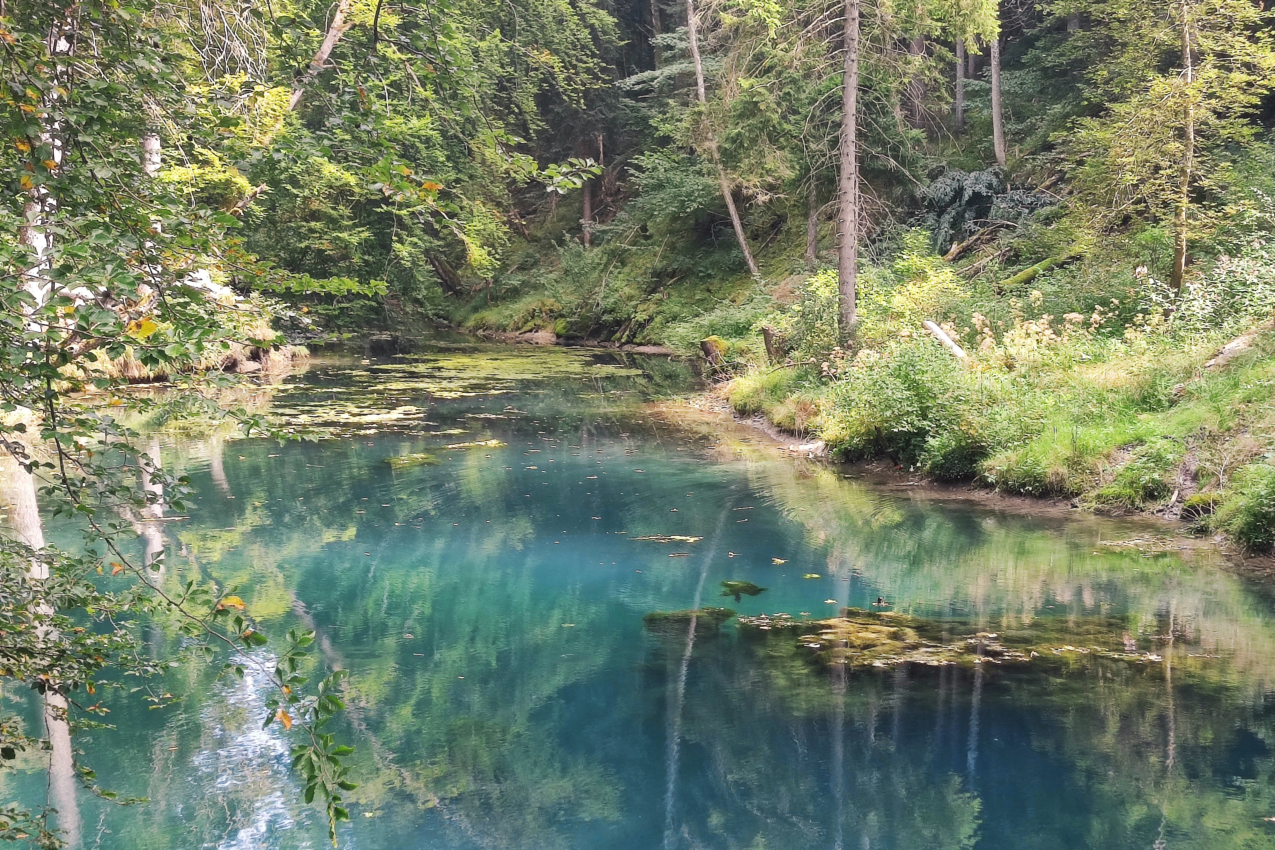 Bild von Cara für den Spot 1567