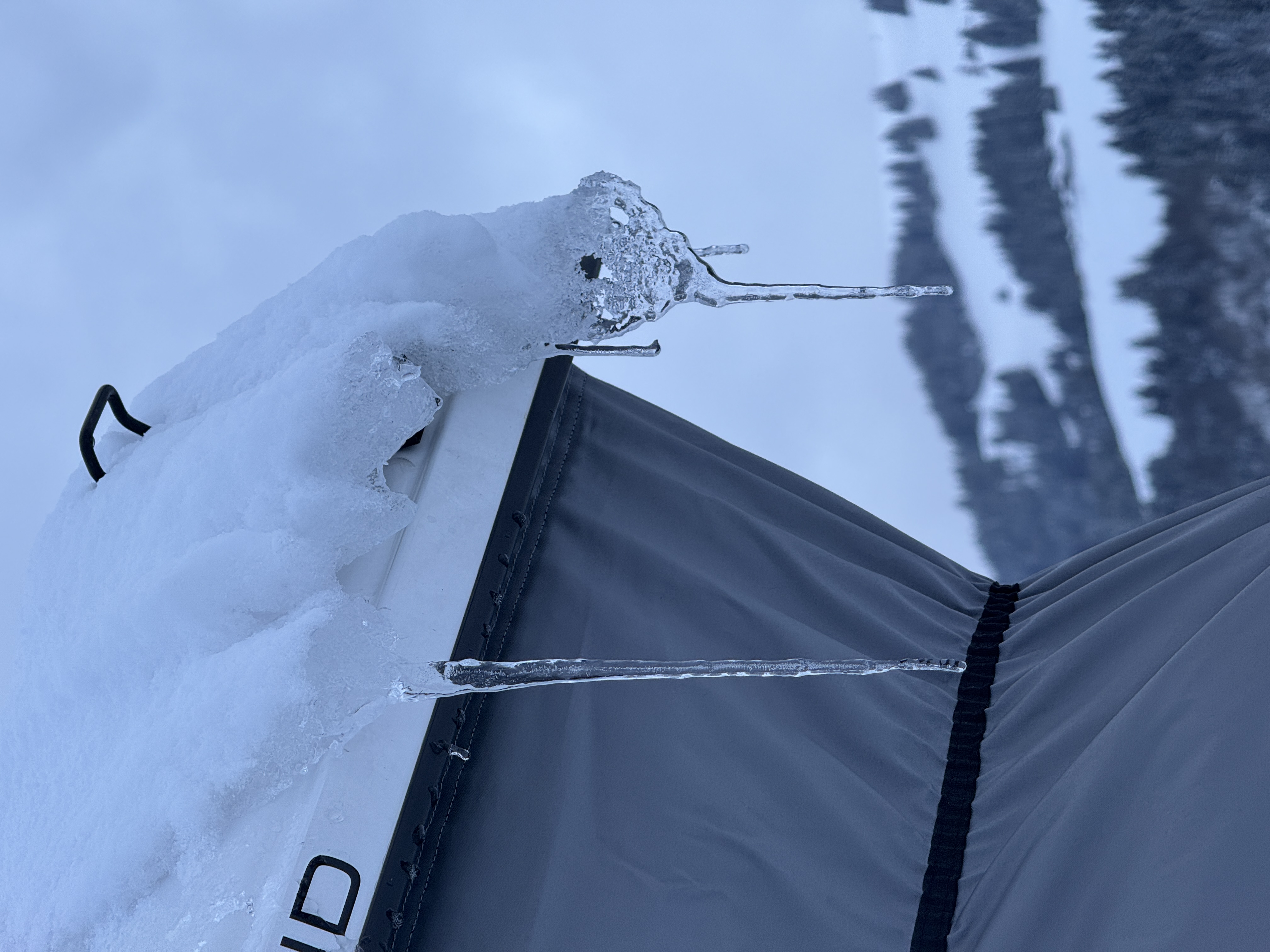 Bild von Uriel Marc für den Spot 65