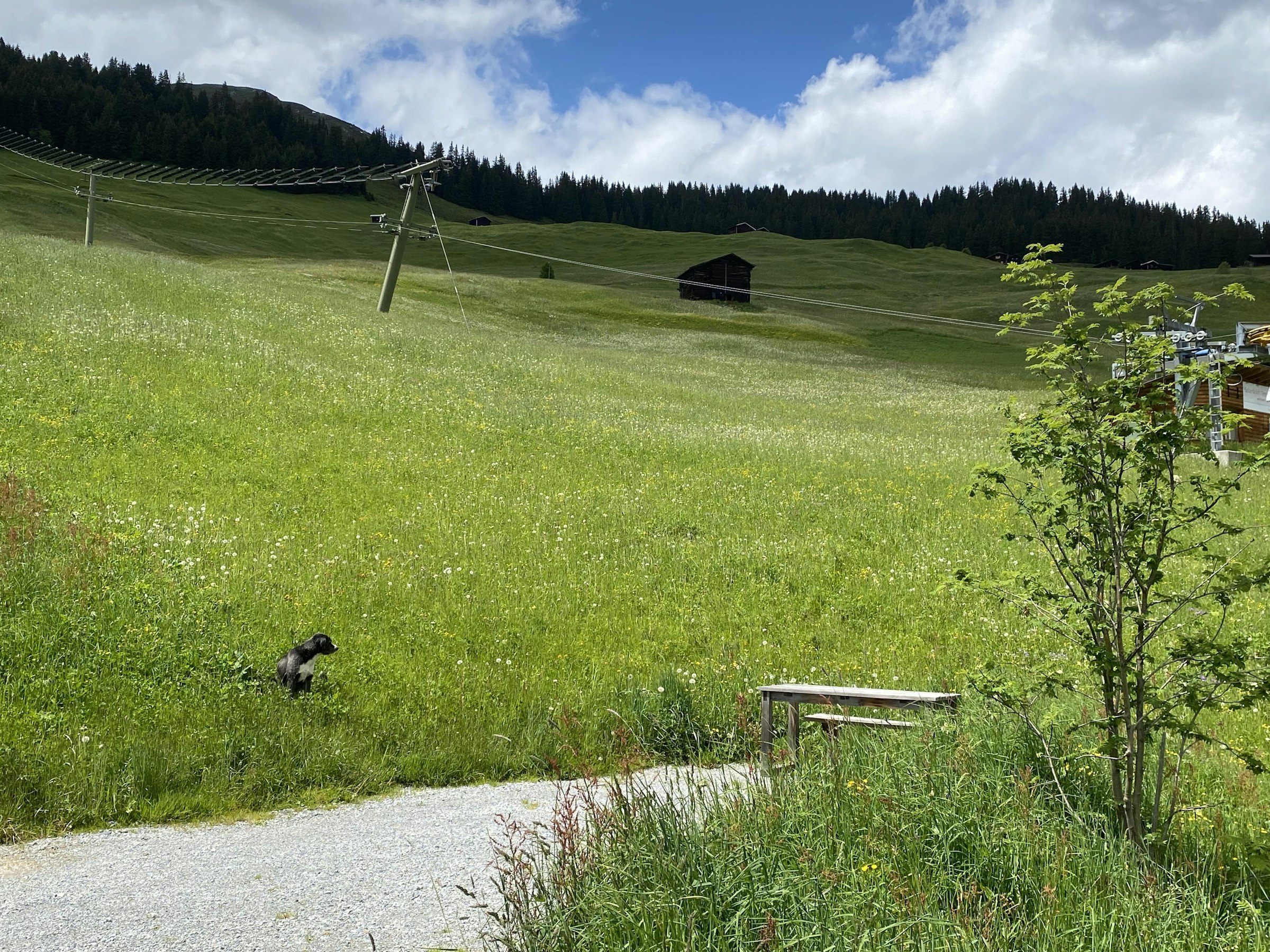 Stellplatz bei der Hofstatt