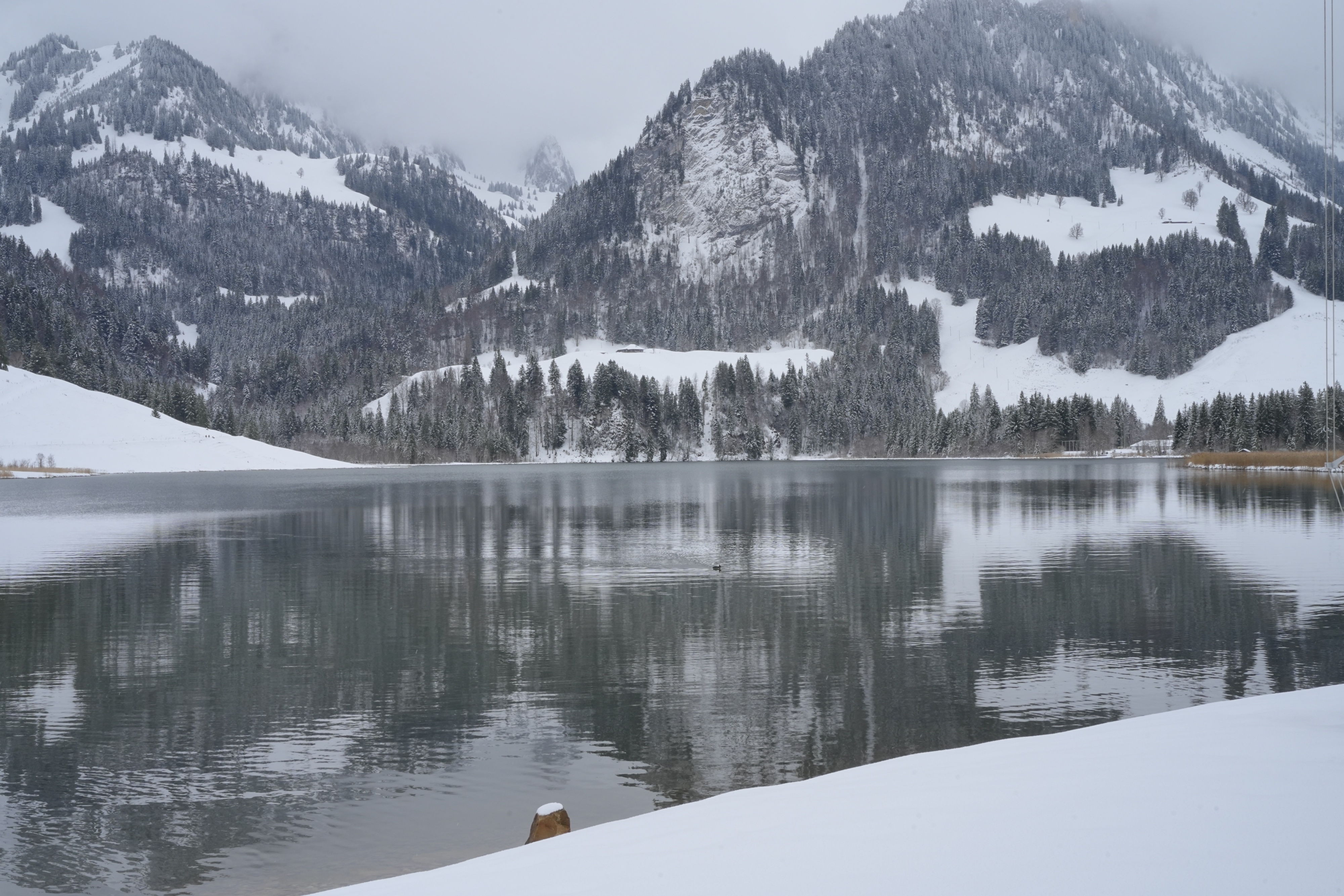 Bild von Uriel Marc für den Spot 65