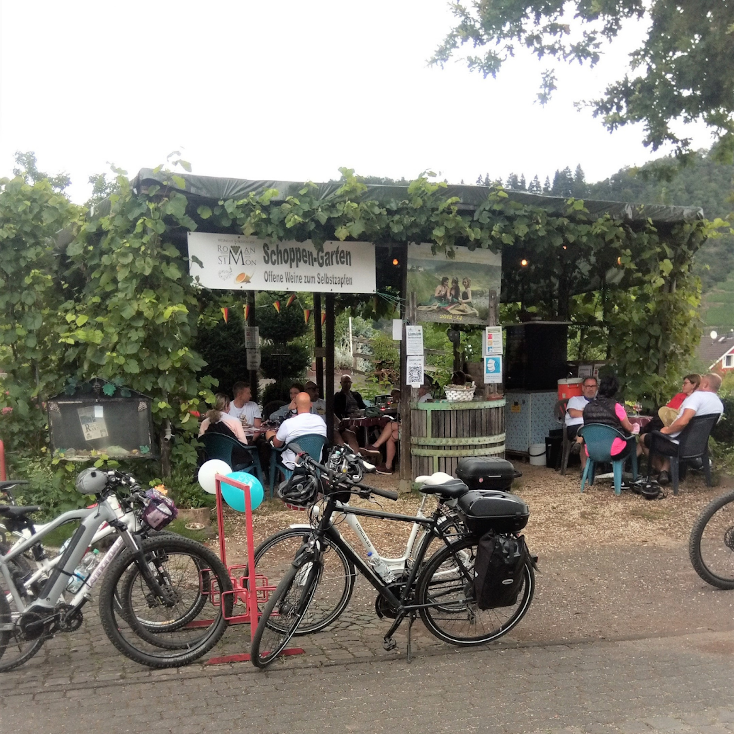 Ruhiger Stellplatz am Weingut