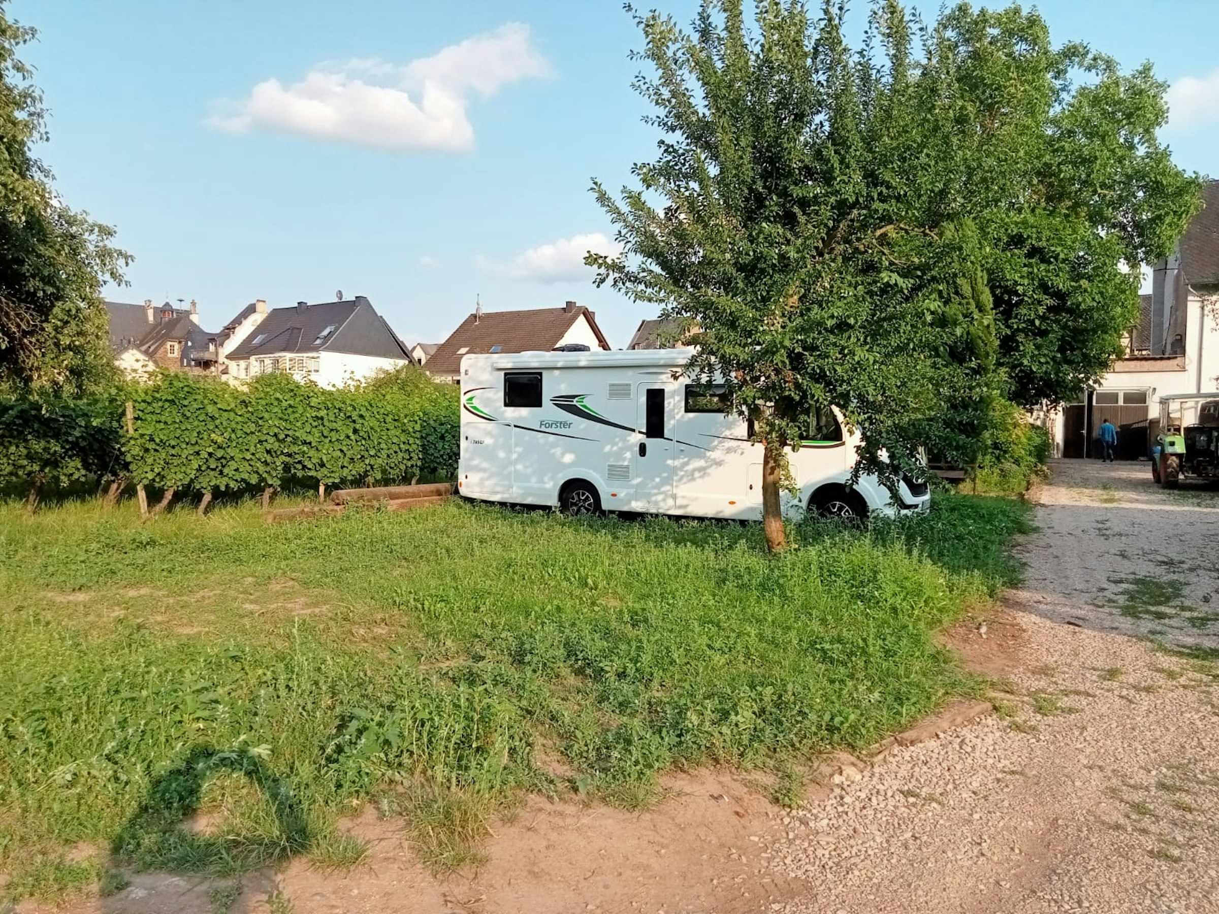 Ruhiger Stellplatz am Weingut
