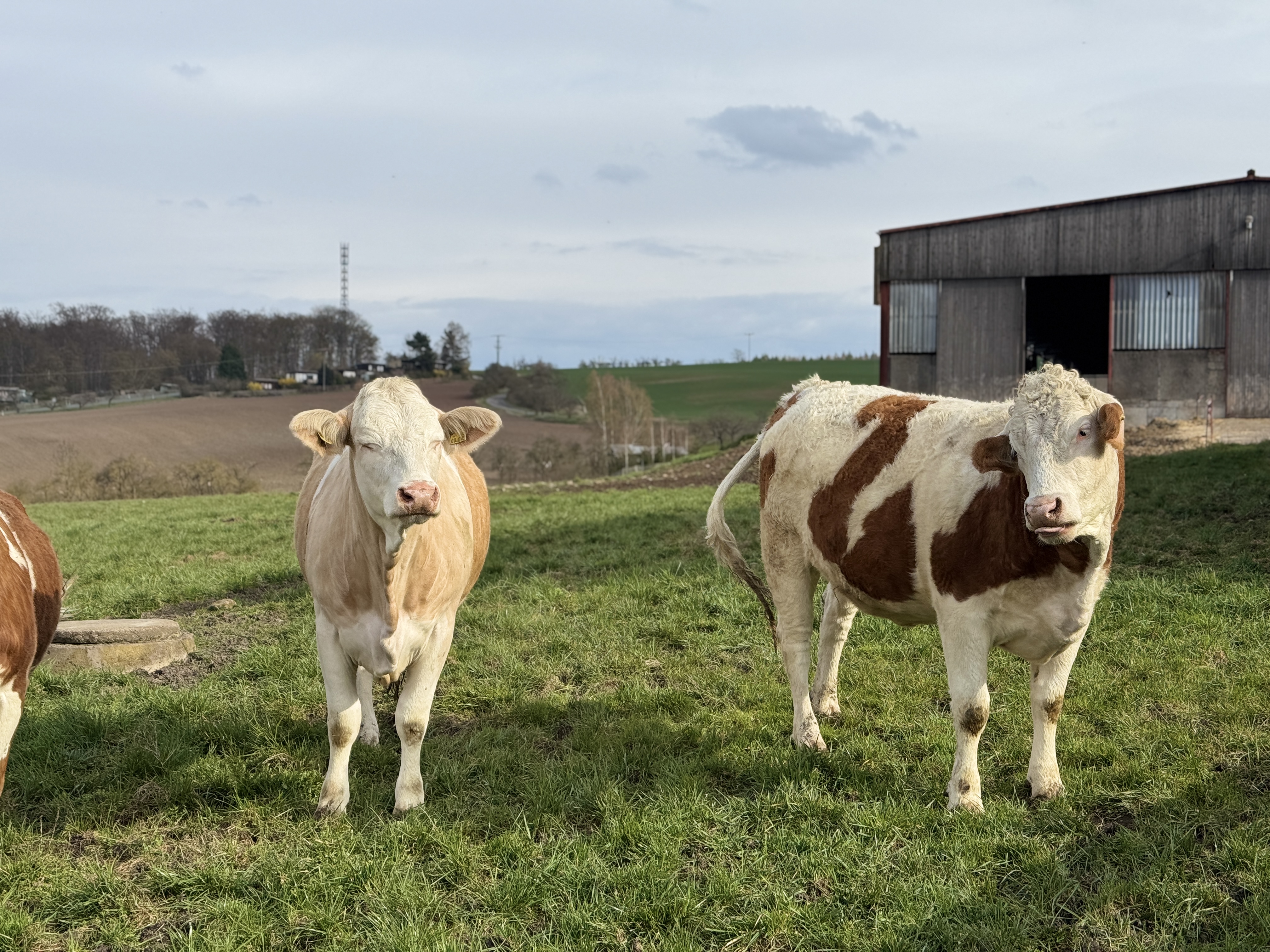 Bild von Jochem für den Spot 1876