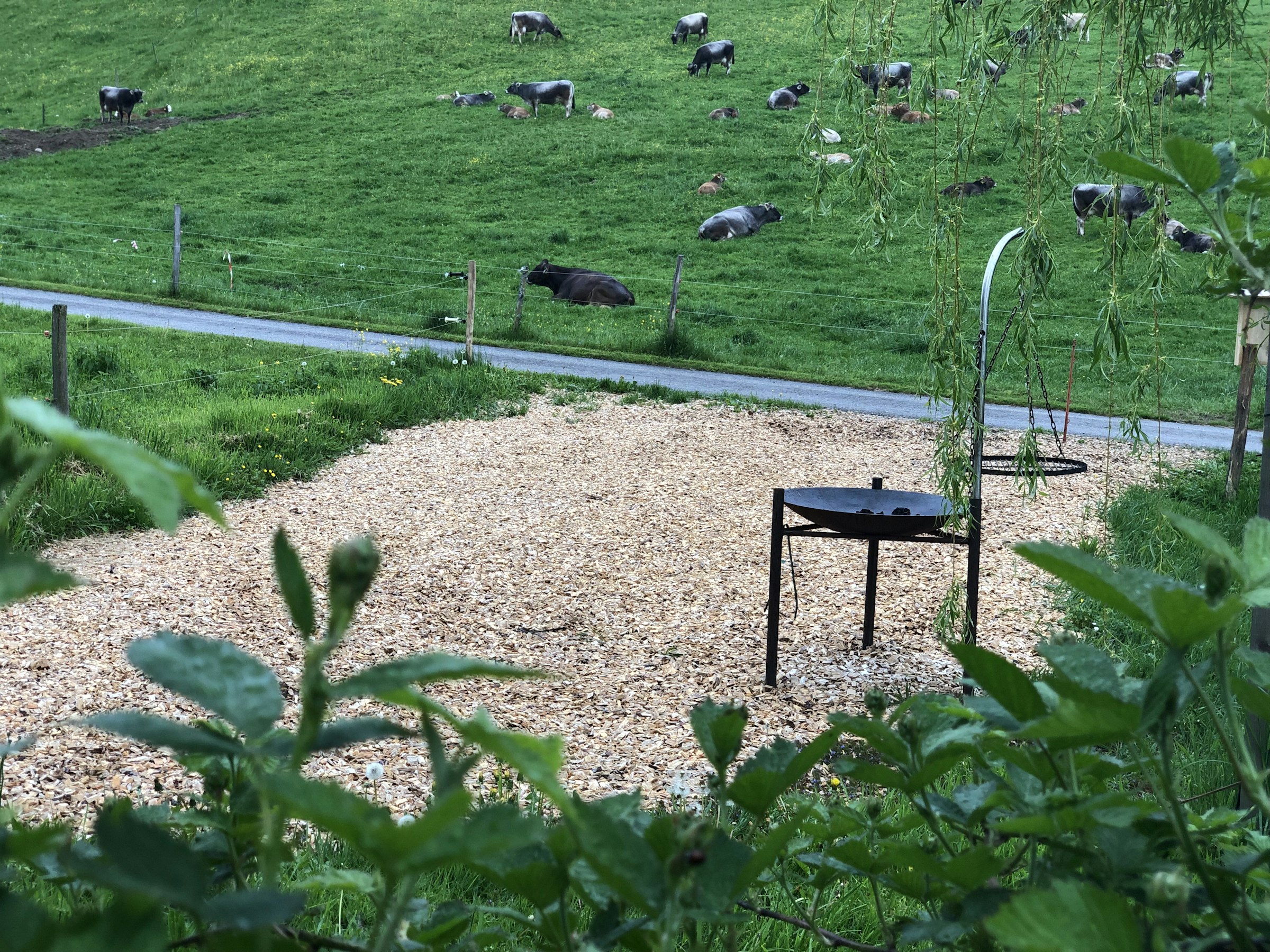 Feuerschale und Grillrost sind vorhanden. Das Feuerholz kannst du bei uns kaufen.