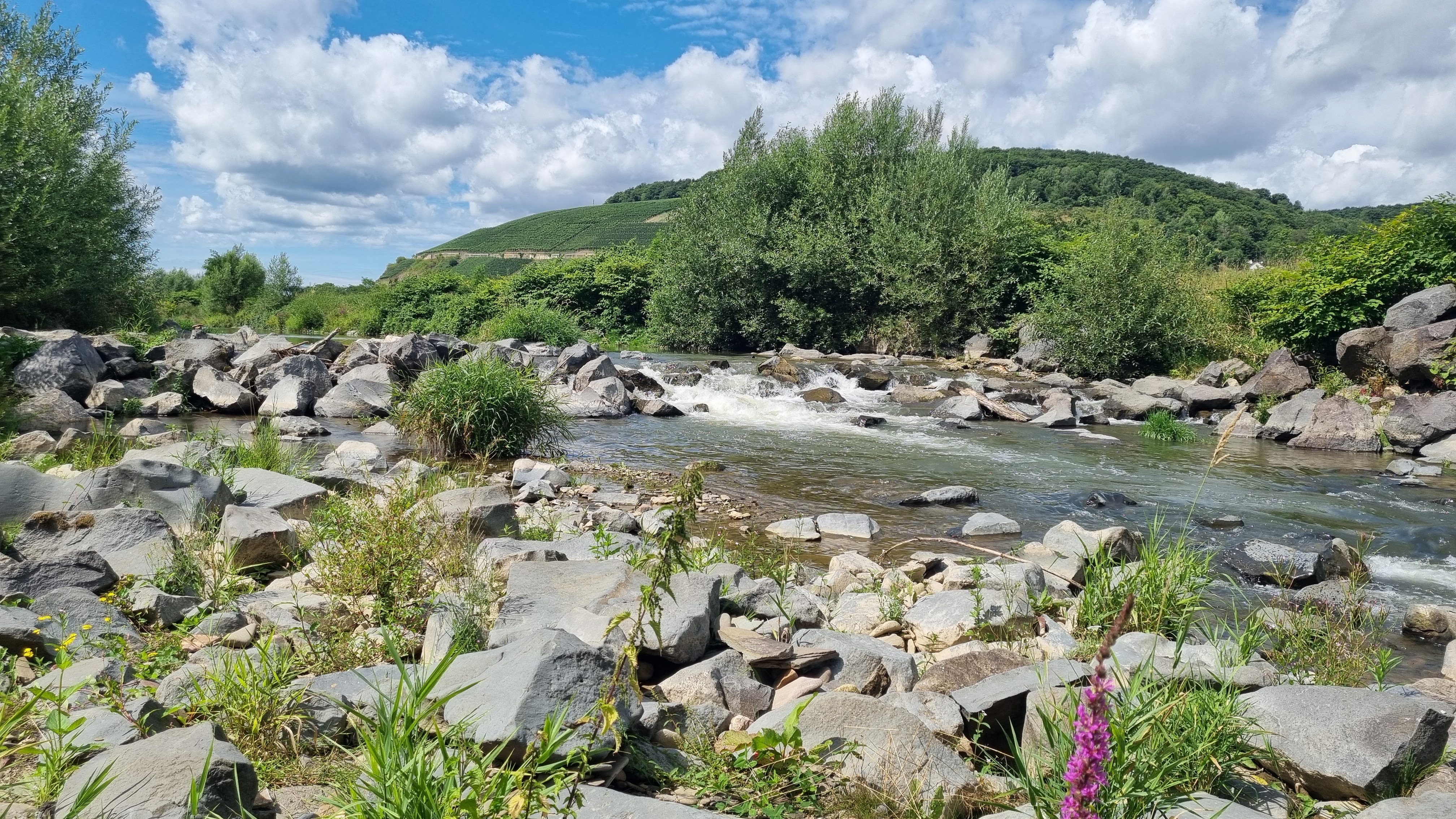 Bild von Jana für den Spot 1436