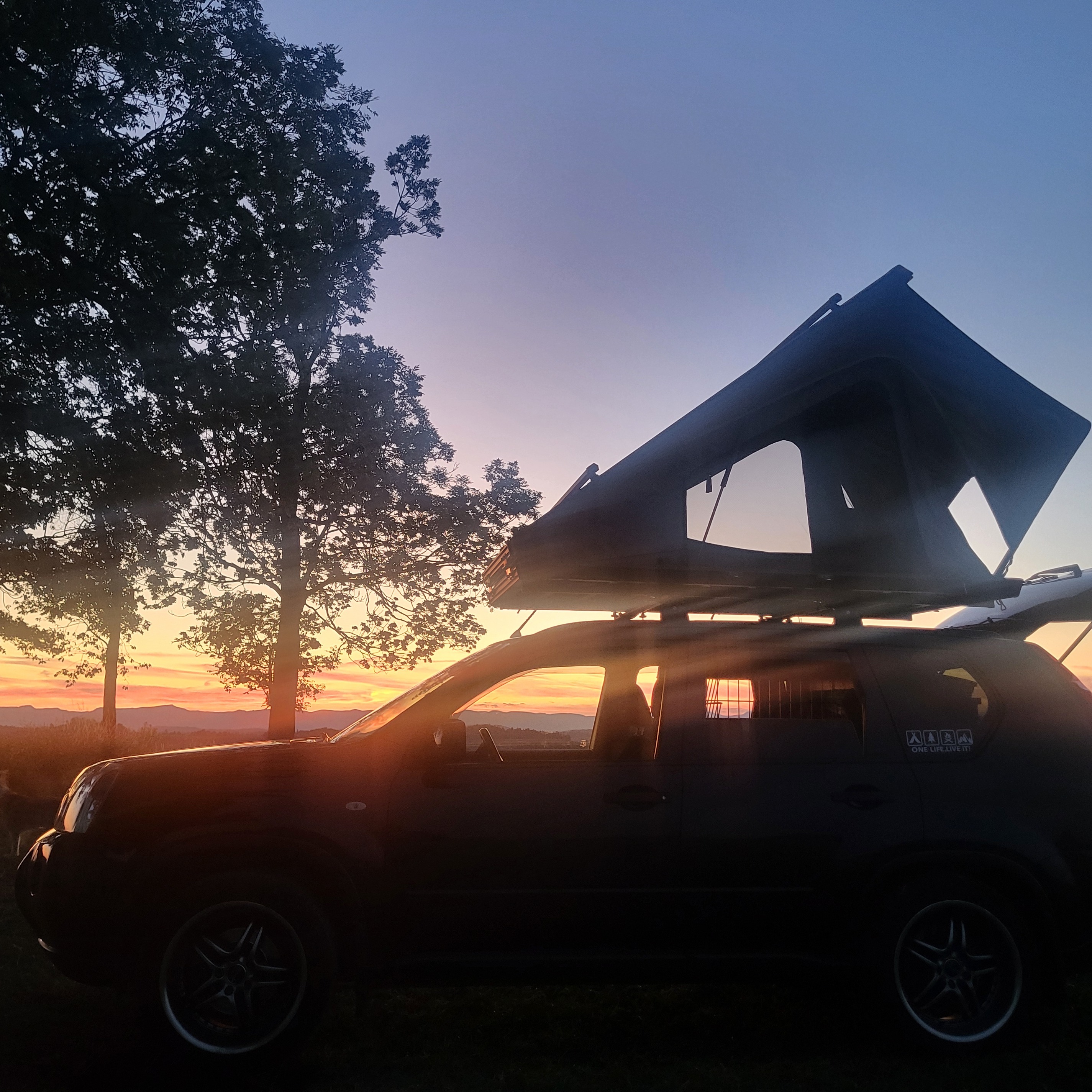 Profilbild von Daniela