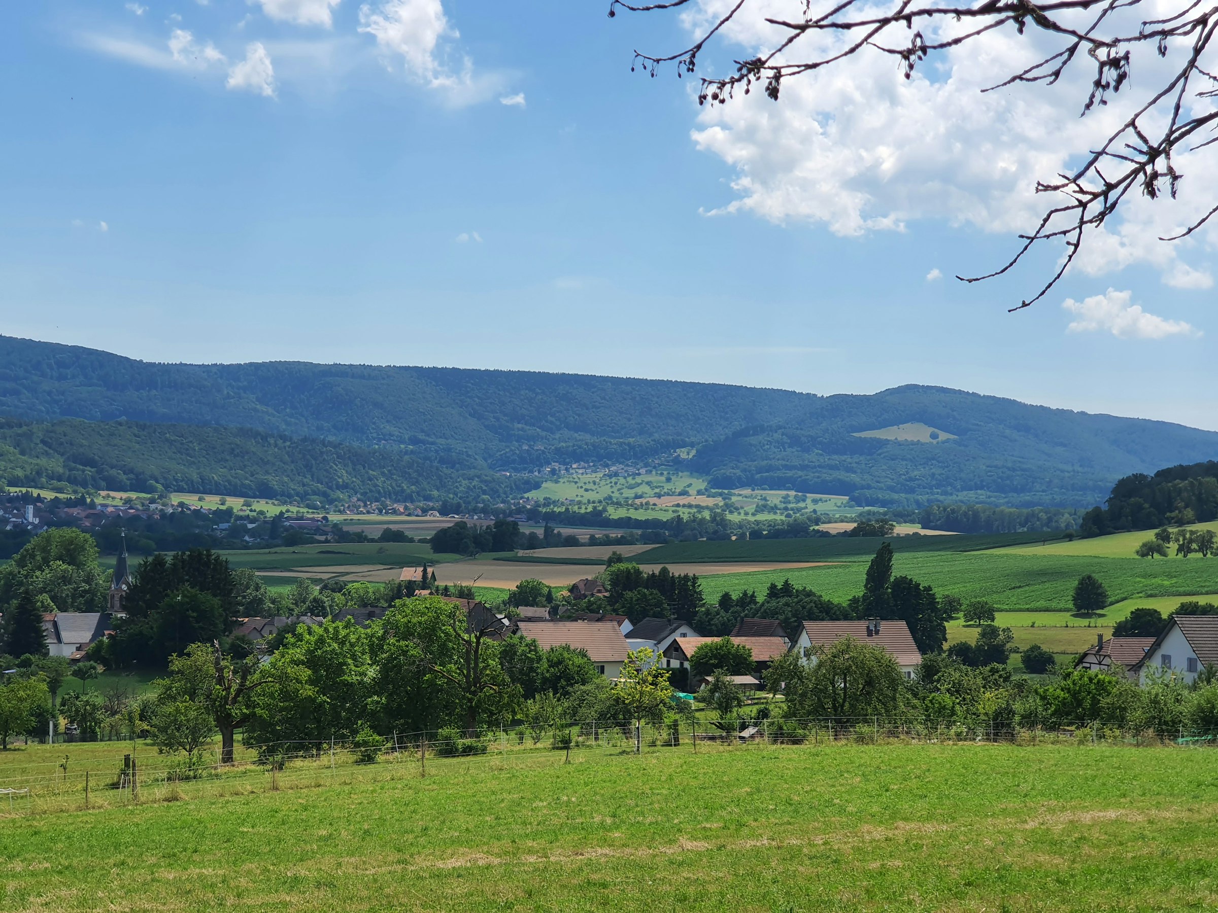 Camp im Grünen mit Aussicht