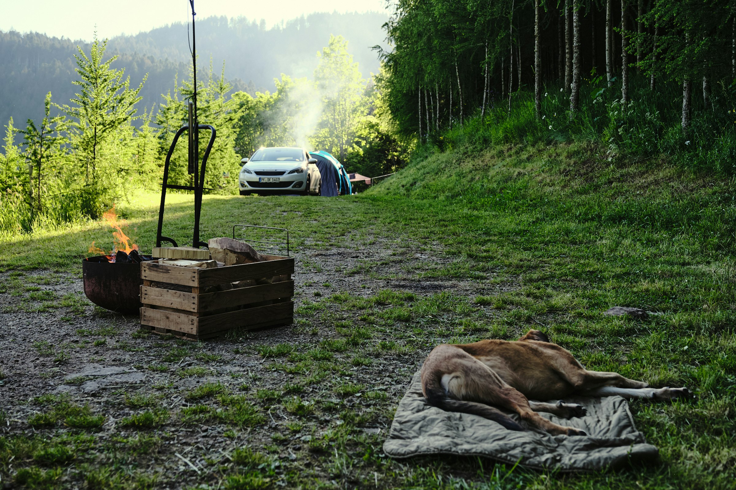 Bühl - Beim Naturdenkmal 🌳Eiche🌳