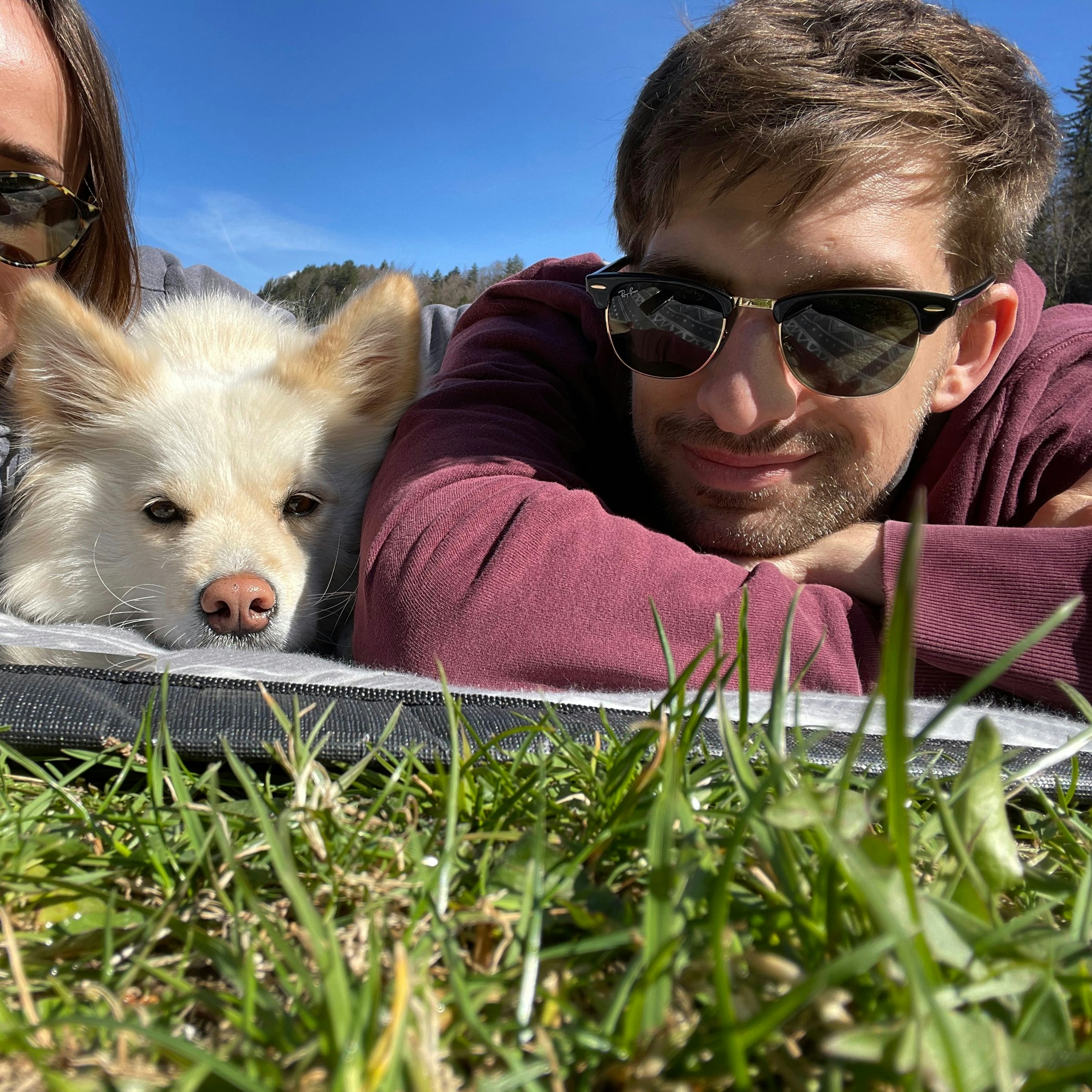 Profilbild von Steffen