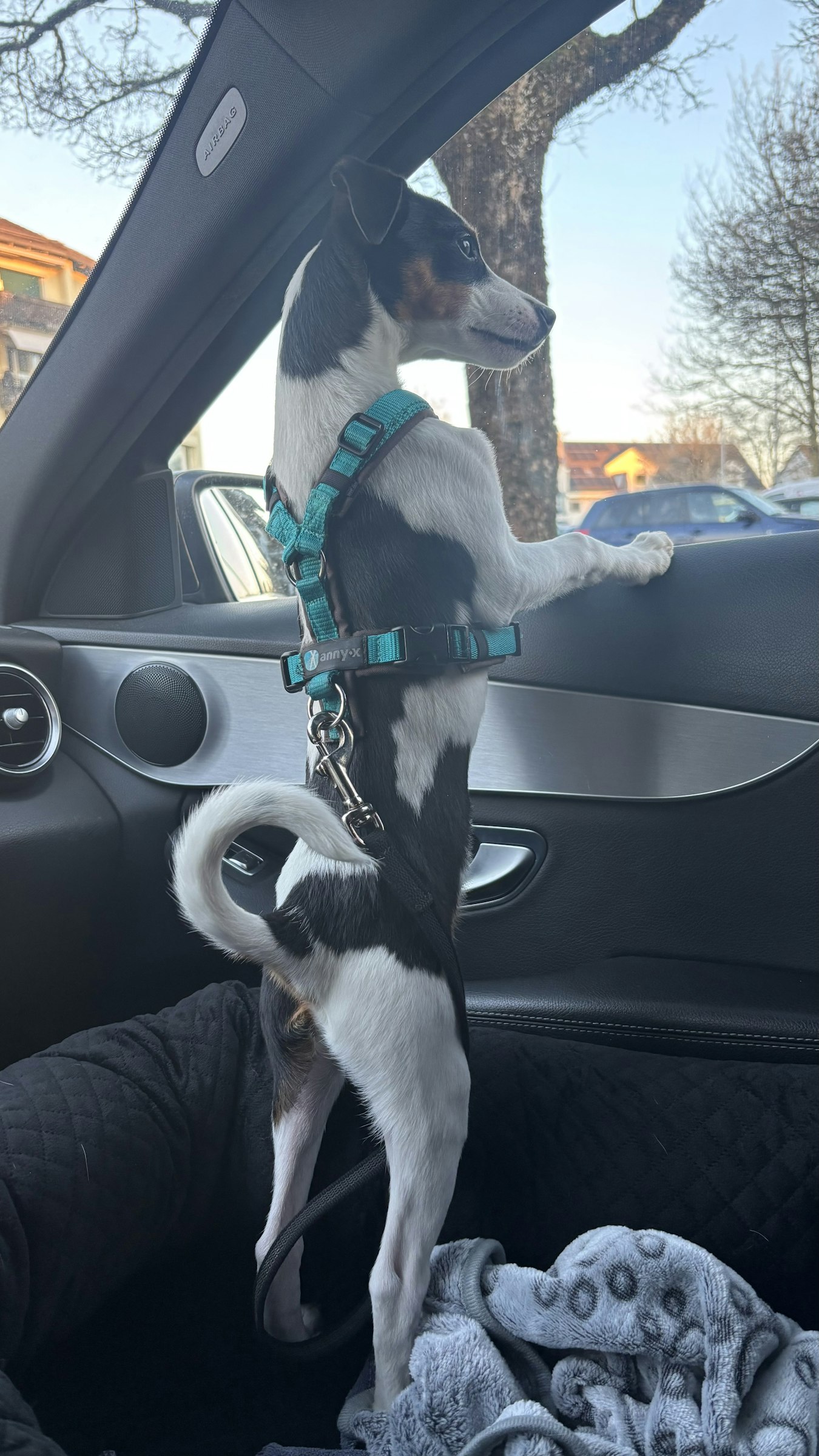 Profilbild von MarvelOZ