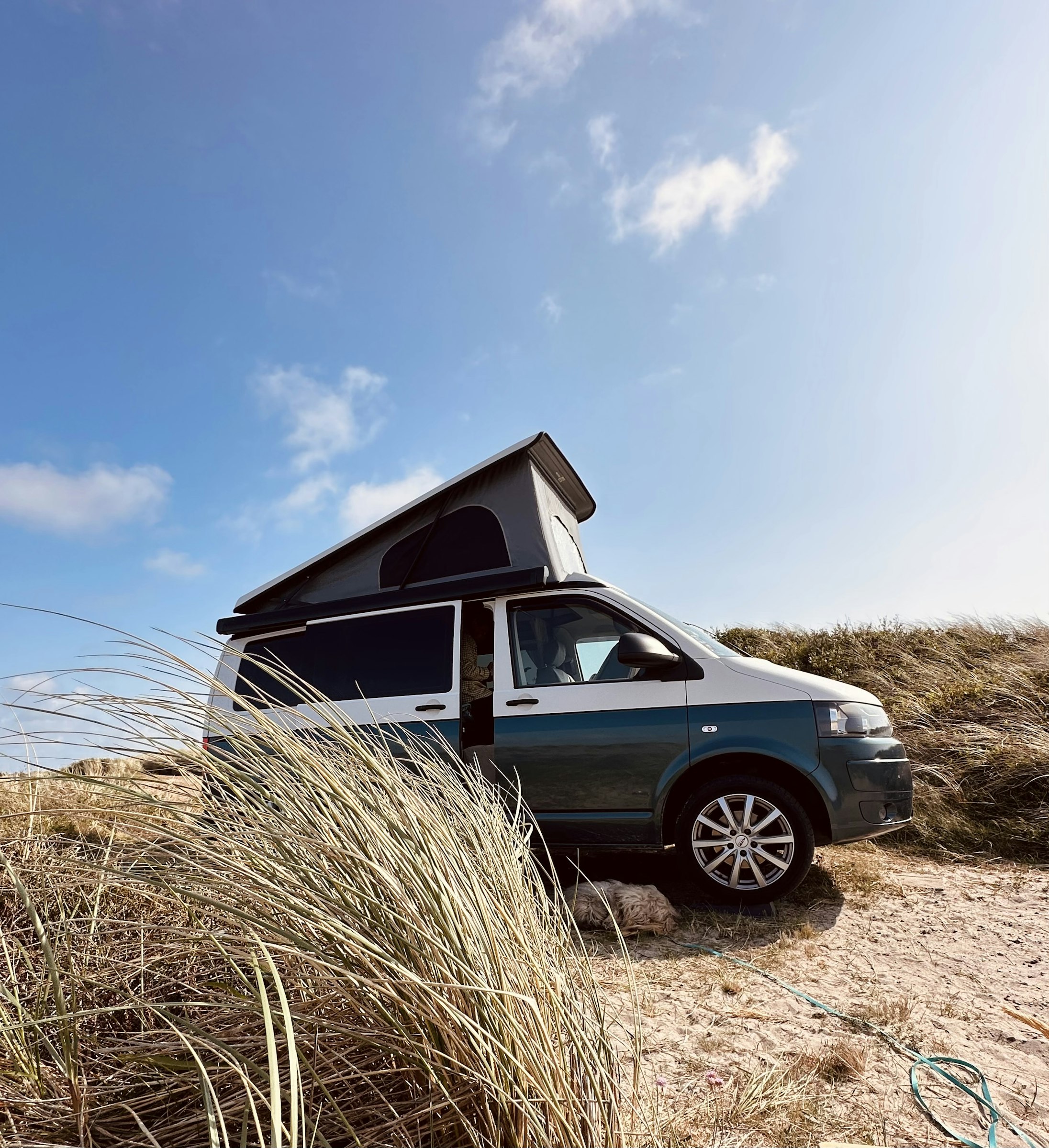 Profilbild von Sassi