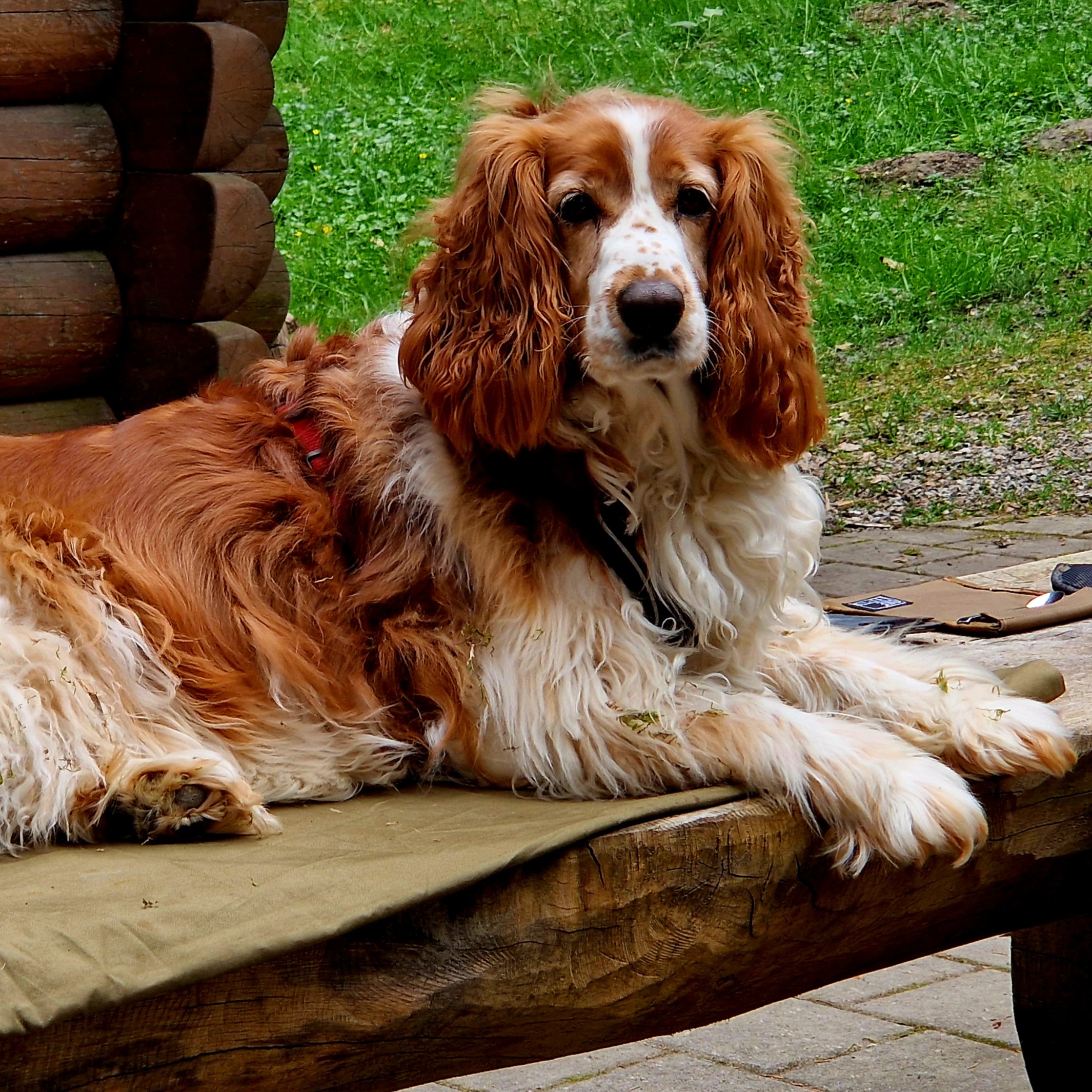 Profilbild von Brigitte