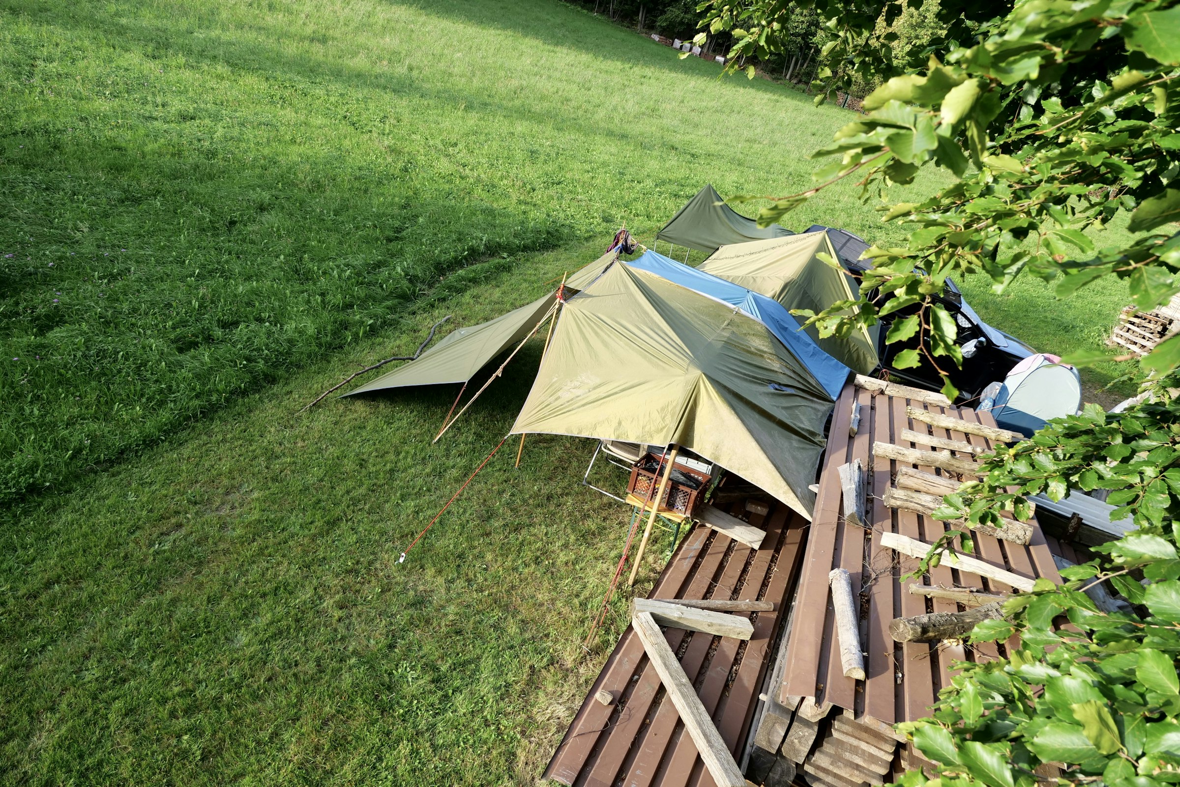 Idyllische Waldwiese