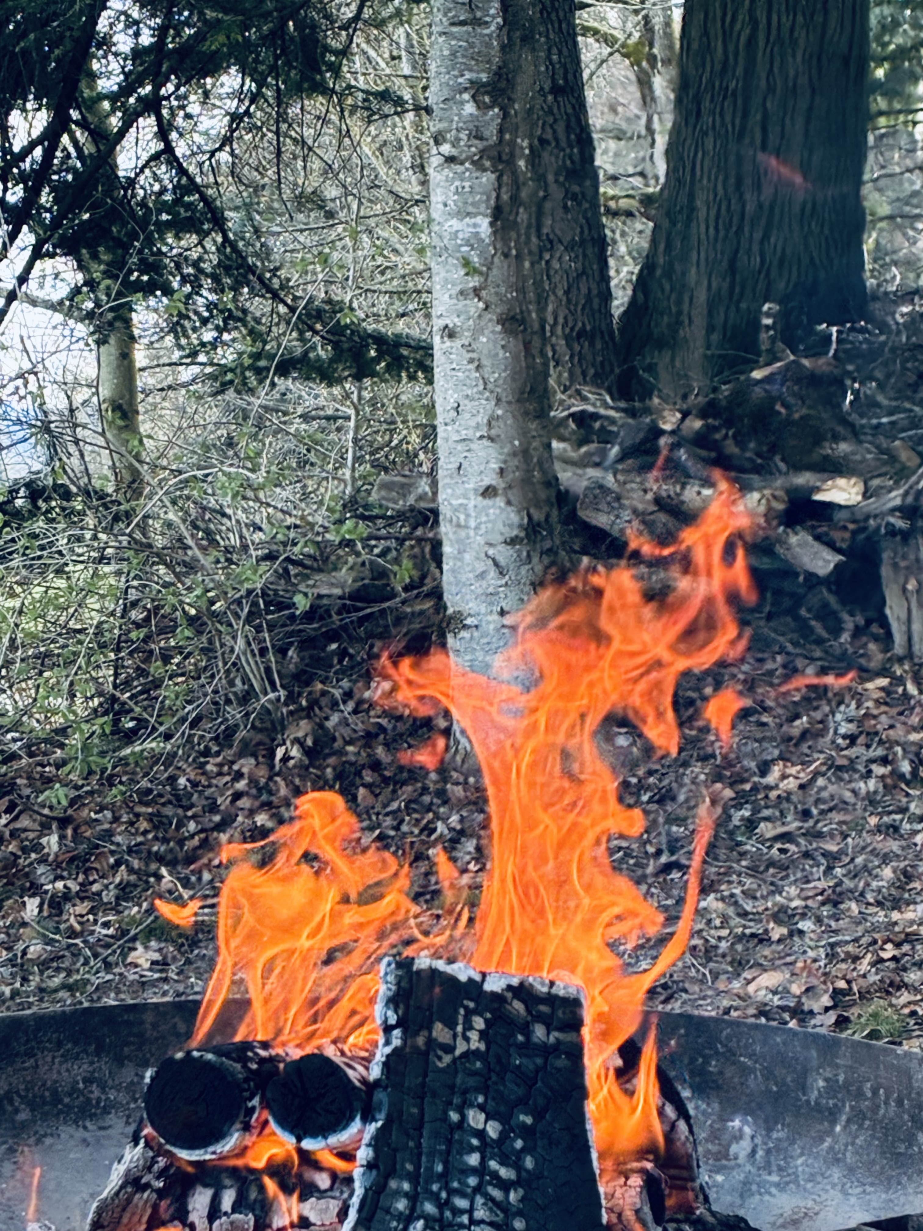 Bild von Pawel für den Spot 378