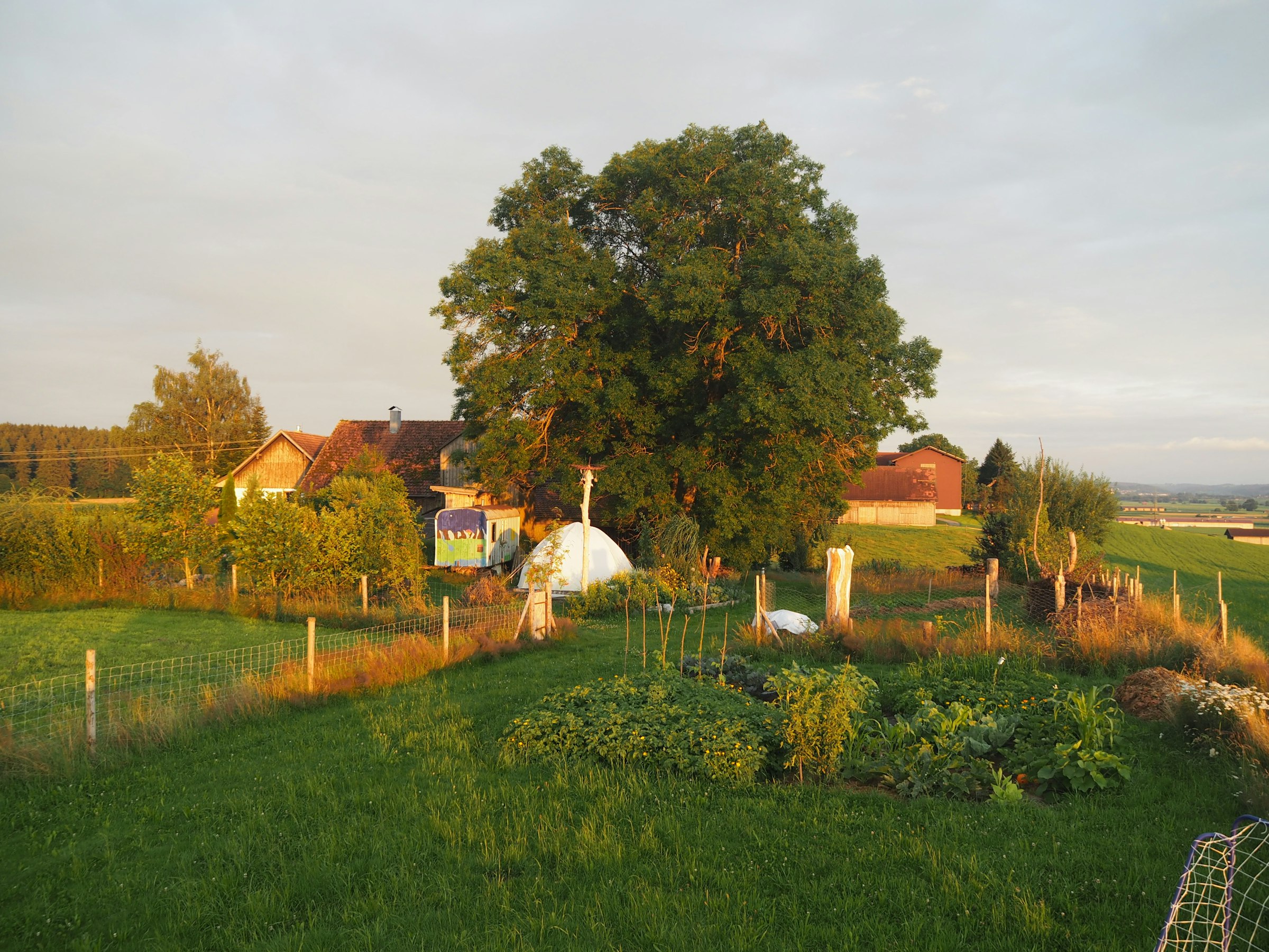 Gartenfreude beim Bergbauer