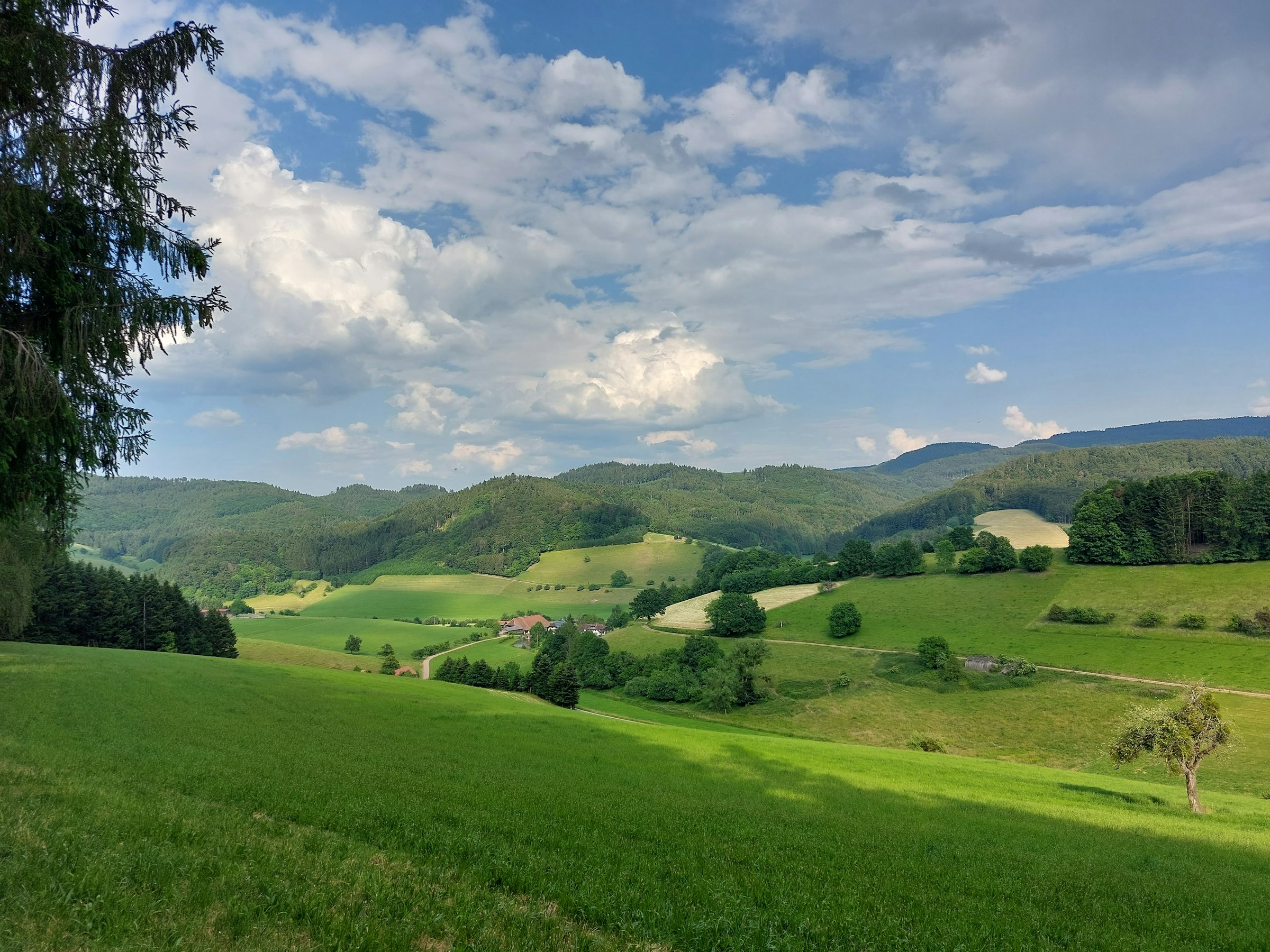Micro-Hütte mit Sternenblick
