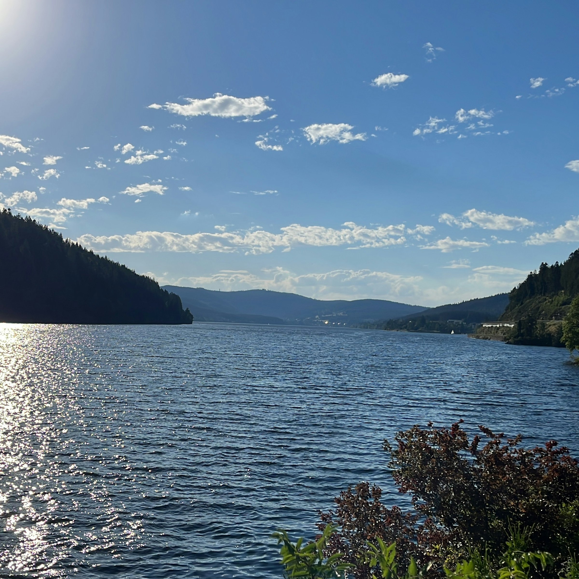 Jens Reichelt avatar